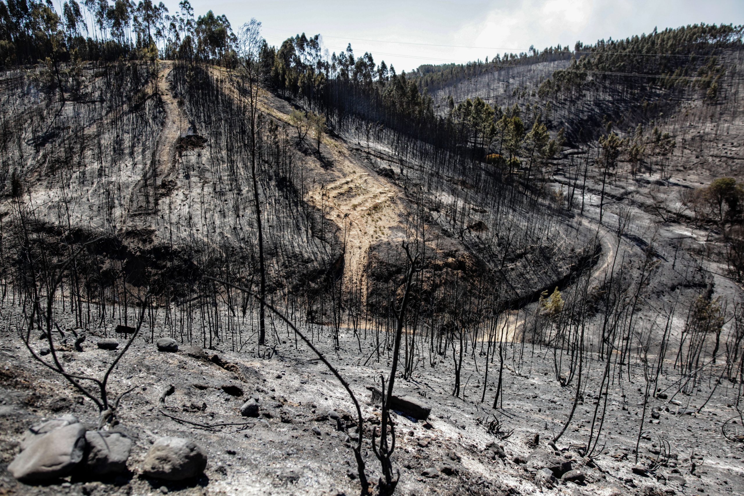 Uma combinação perigosa. Mais de 95% dos grandes incêndios ocorrem durante secas e ondas de calor
