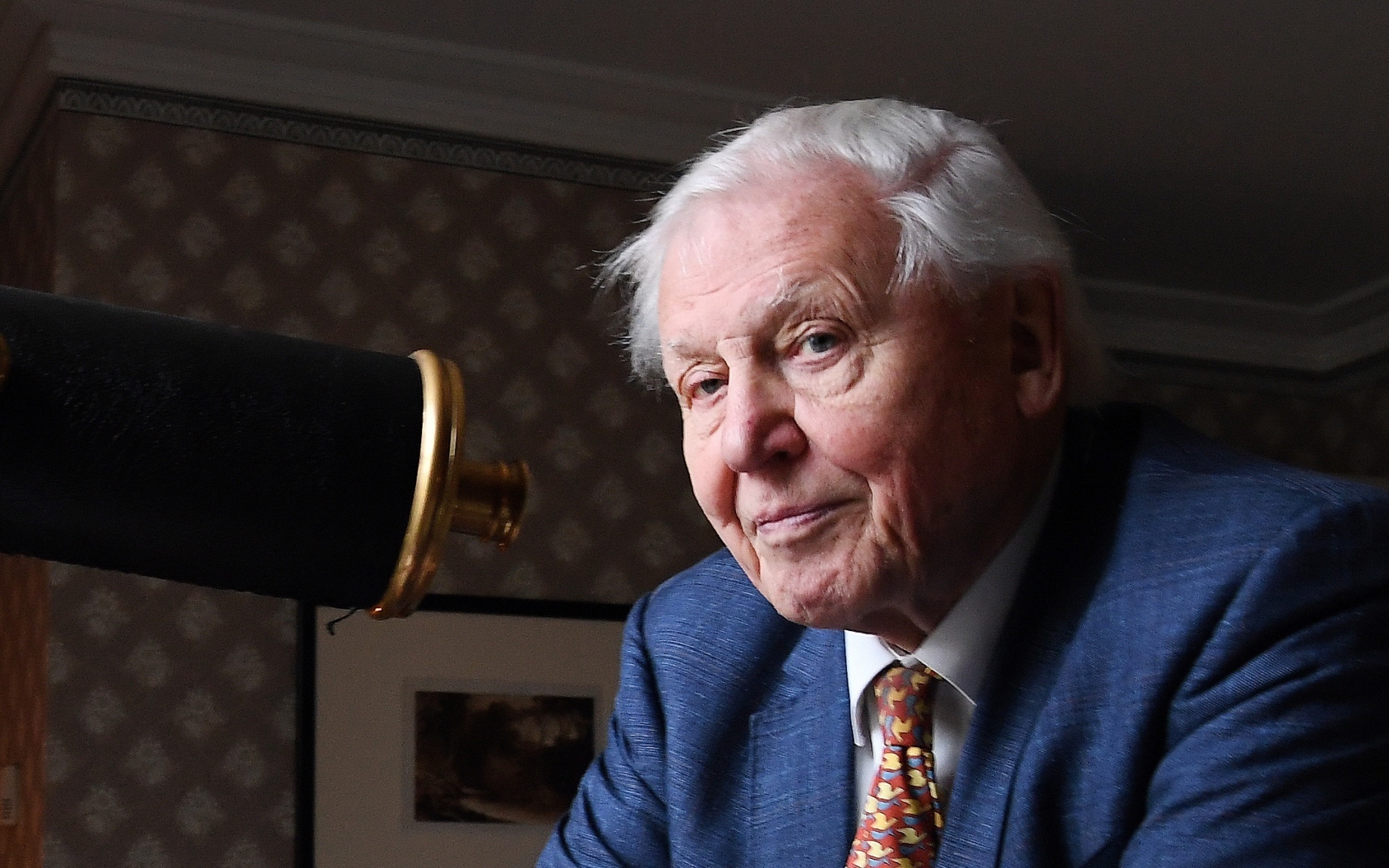 Documentário de Attenborough relaciona pandemia com extinção dos habitats