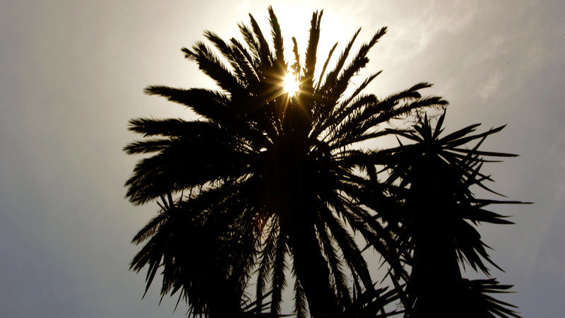 Esta segunda-feira, o planeta bateu o recorde de temperatura diária
