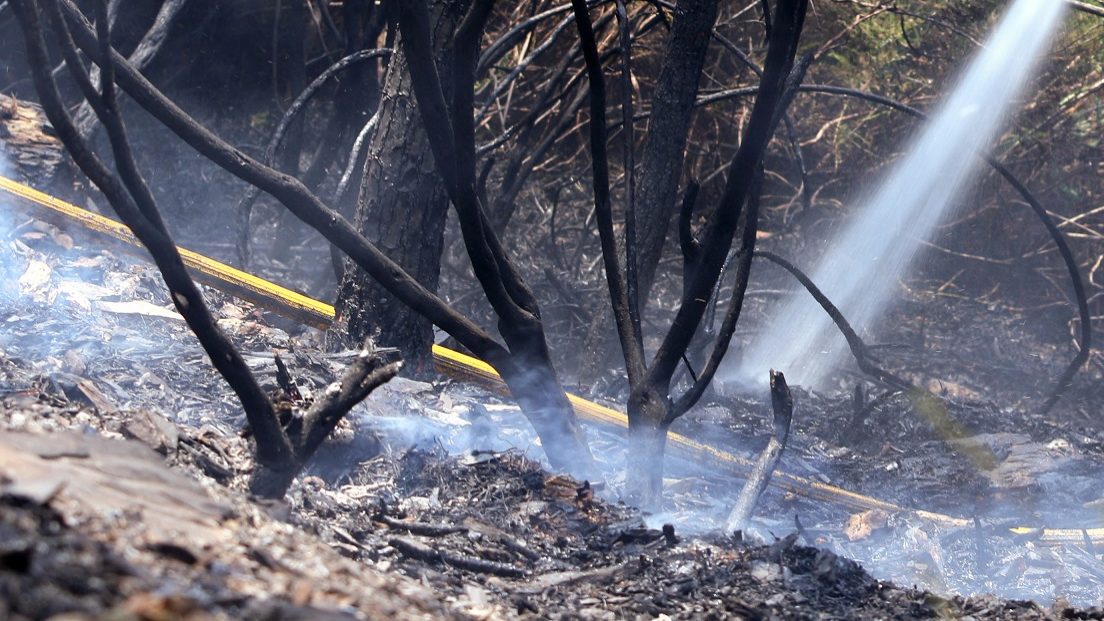 Incêndios: Combate ao fogo de Vila Verde evolui “muito favoravelmente”