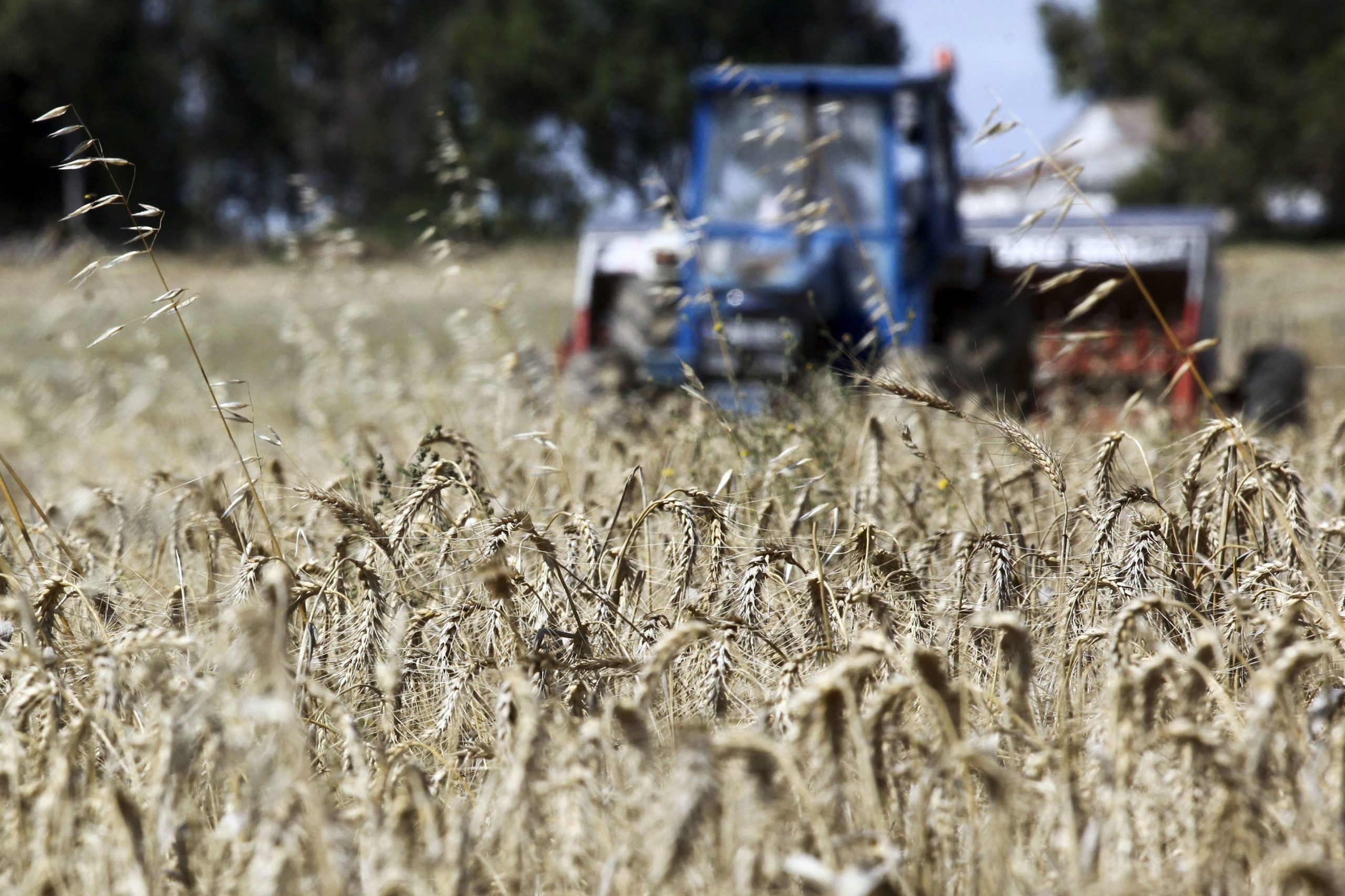 Utopia agrícola de dois milhões de euros na Beira Baixa transformou-se num caso de fracasso e suspeitas