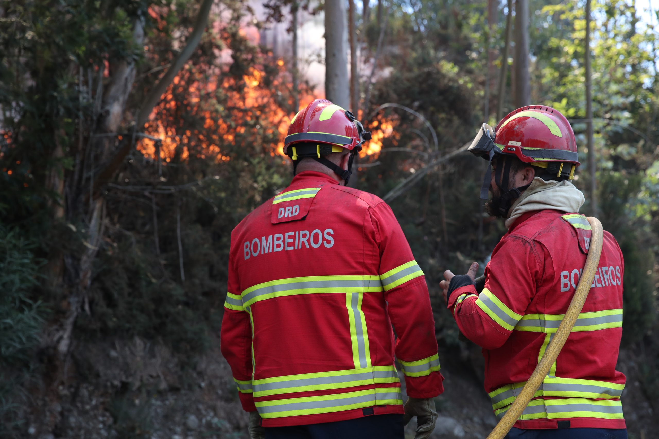 Centena e meia de bombeiros e três helicópteros combatem fogo na Azambuja