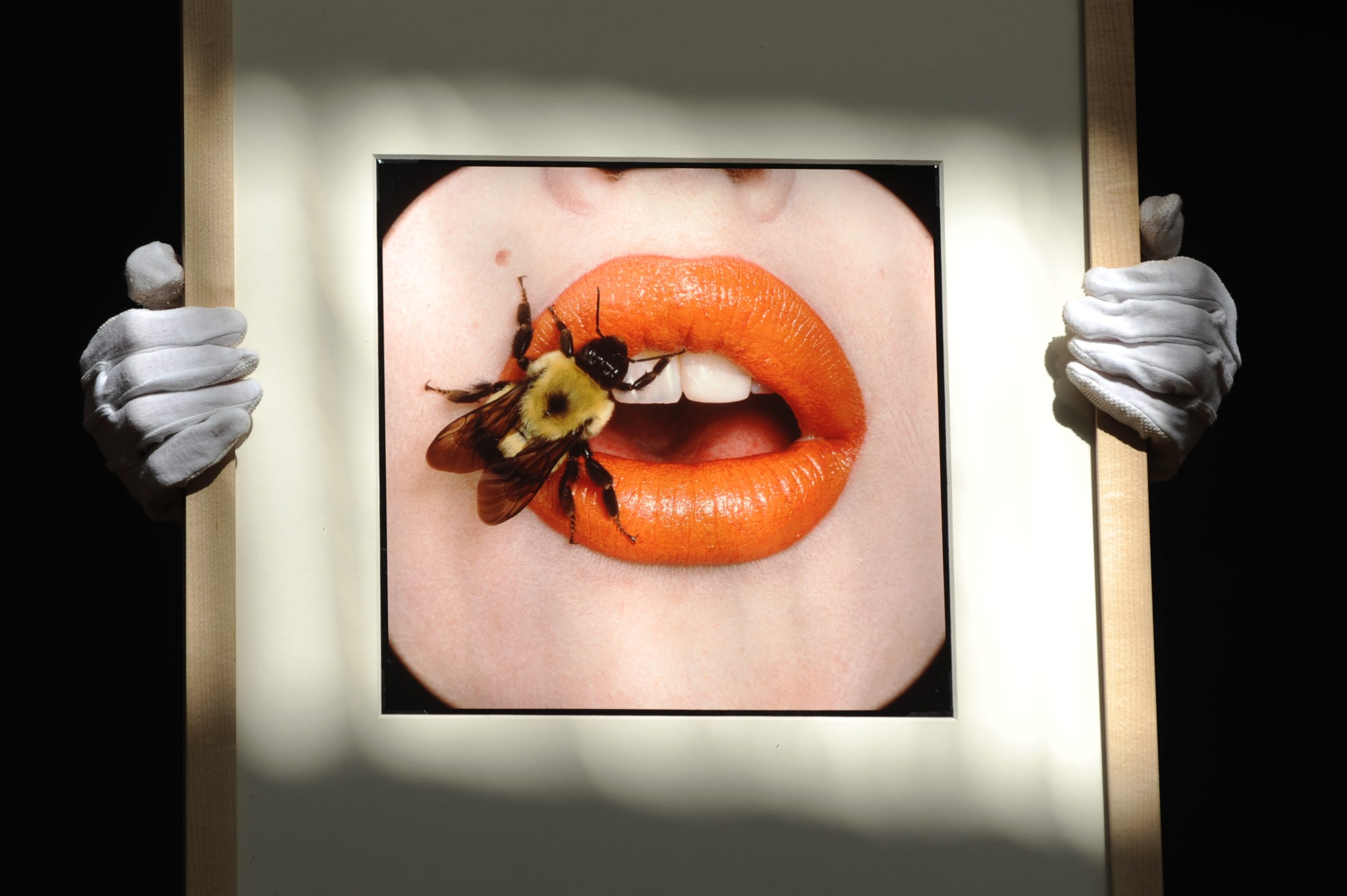 Irving Penn em retrospetiva em Paris