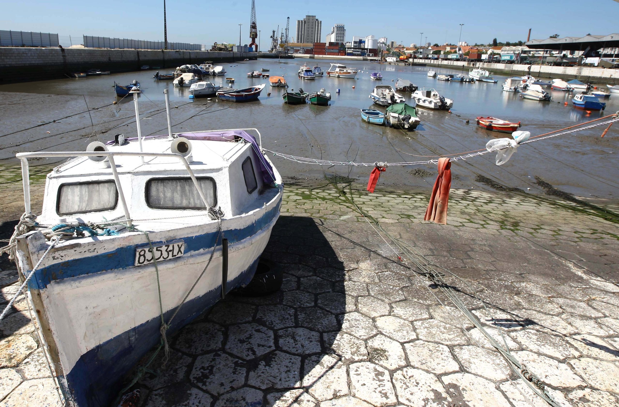 Lisboa: Marvila vai ter novo parque verde junto ao Tejo
