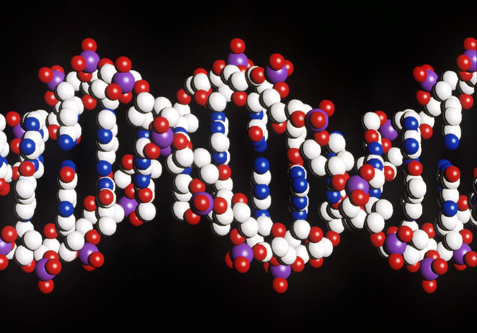 Cientistas publicam primeira sequência efetivamente completa do genoma humano