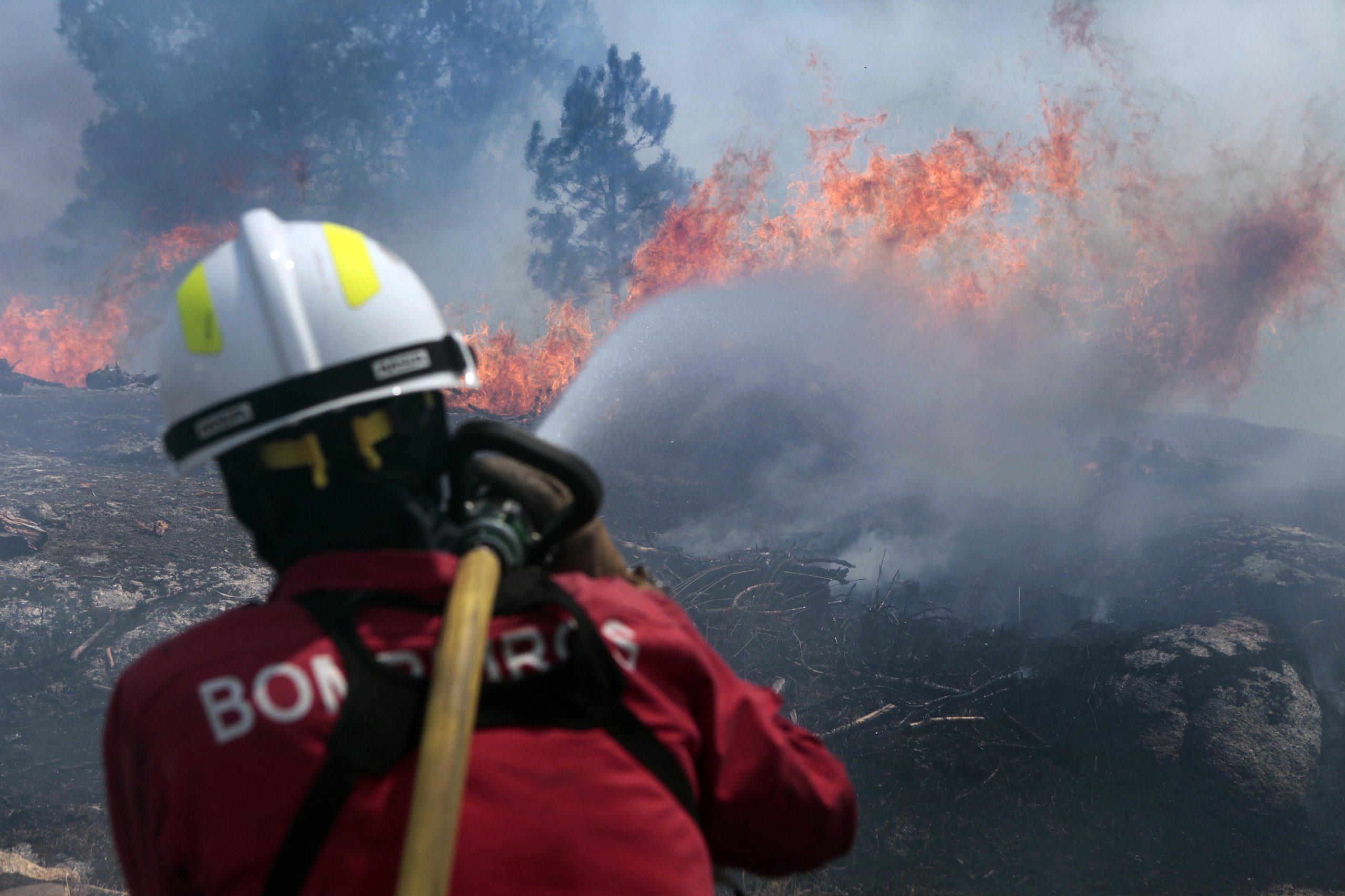 Dominado o incêndio que cortou a estrada entre Trancoso e Mêda