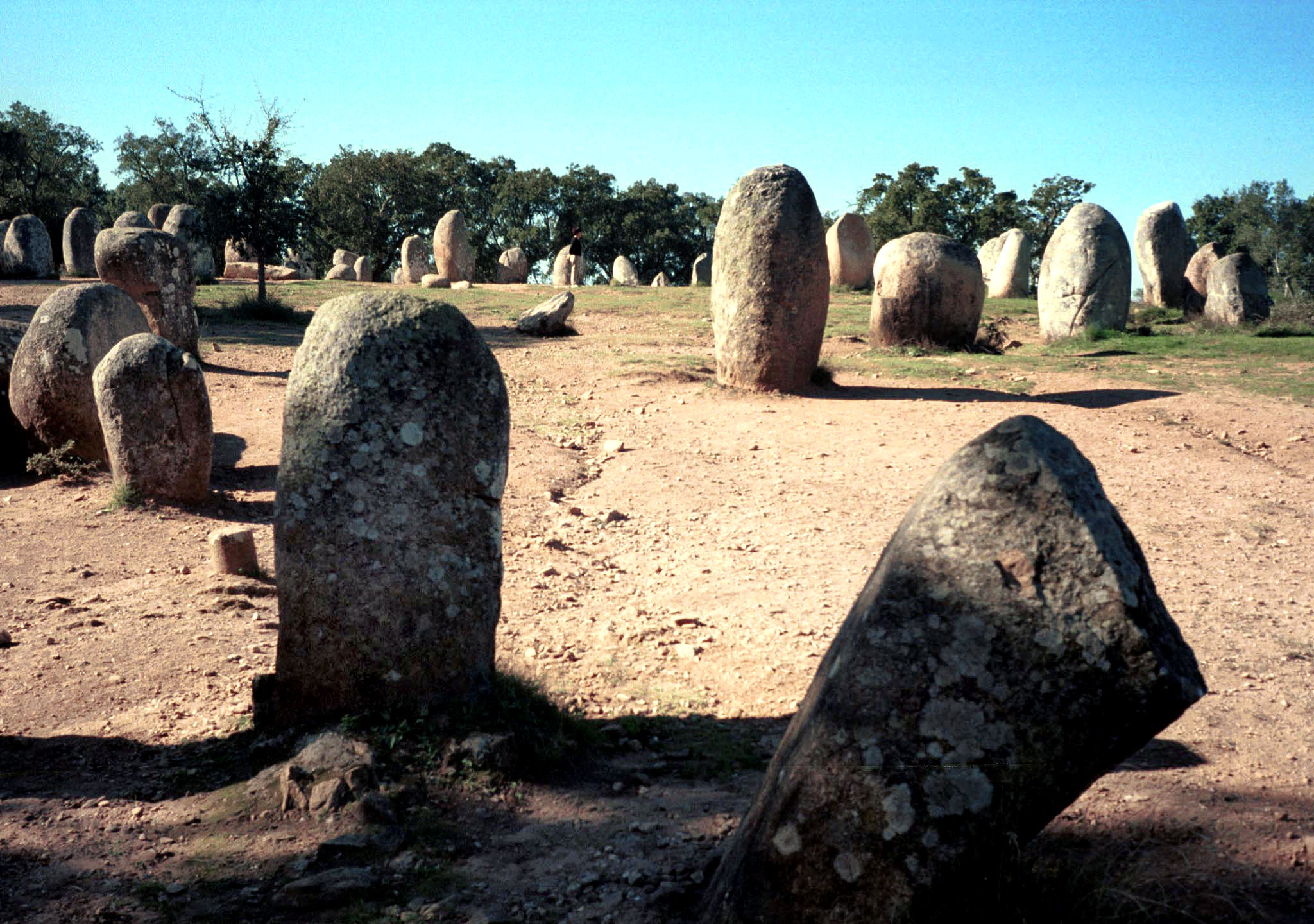 Câmara de Évora avança com plano de salvaguarda do Cromeleque dos Almendres