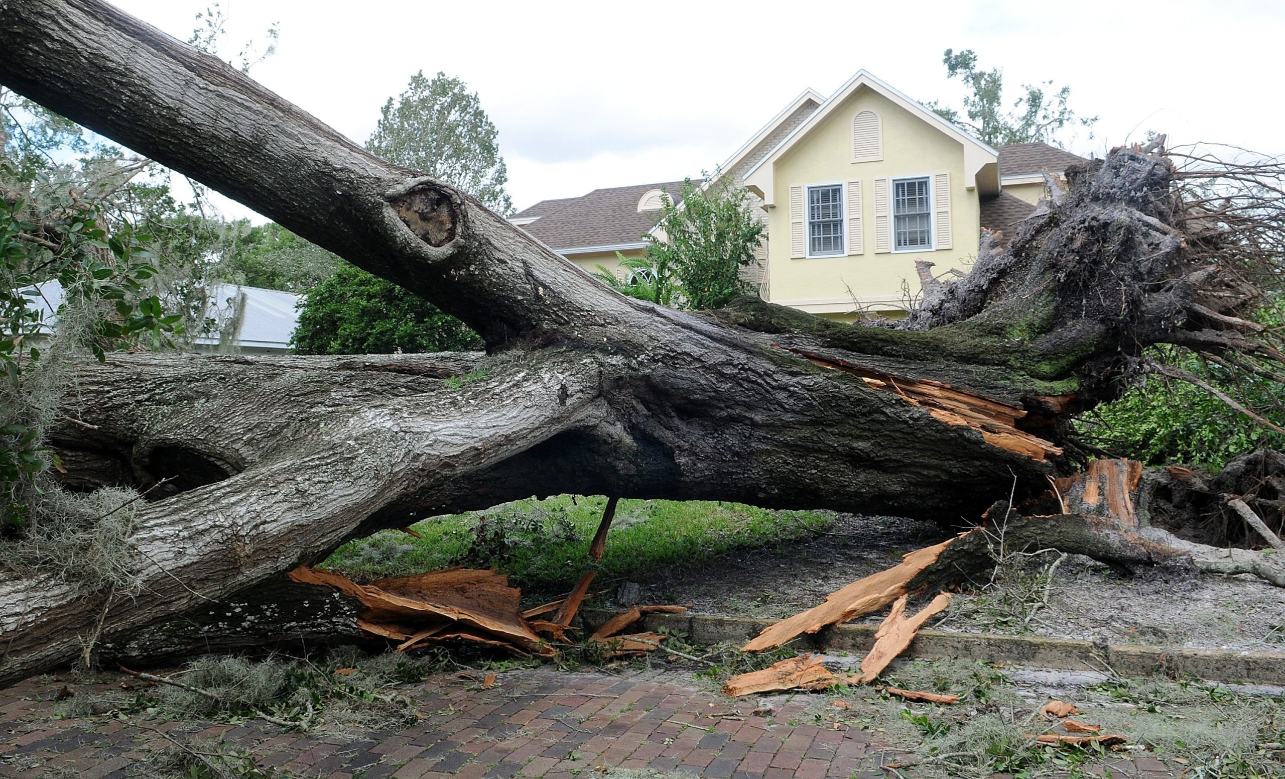 Pelo menos dois mortos na Georgia devido a tempestade tropical Irma