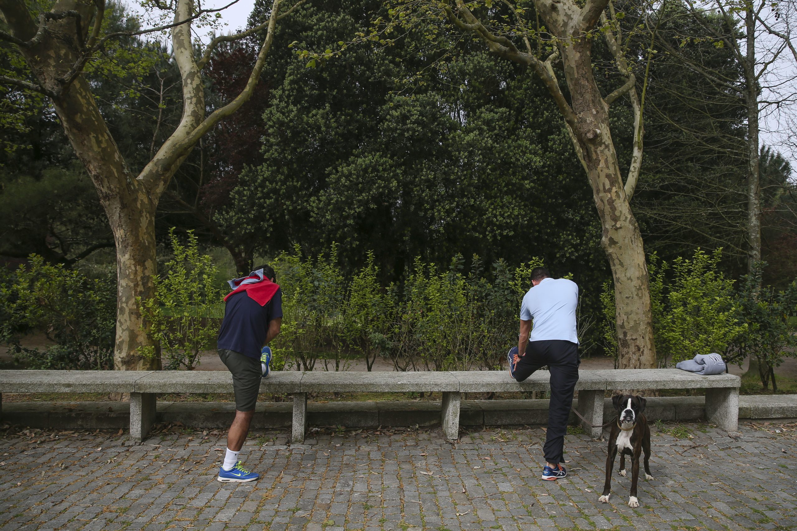 Caminhar cerca de 6 km uma ou duas vezes por semana reduz o risco de morte