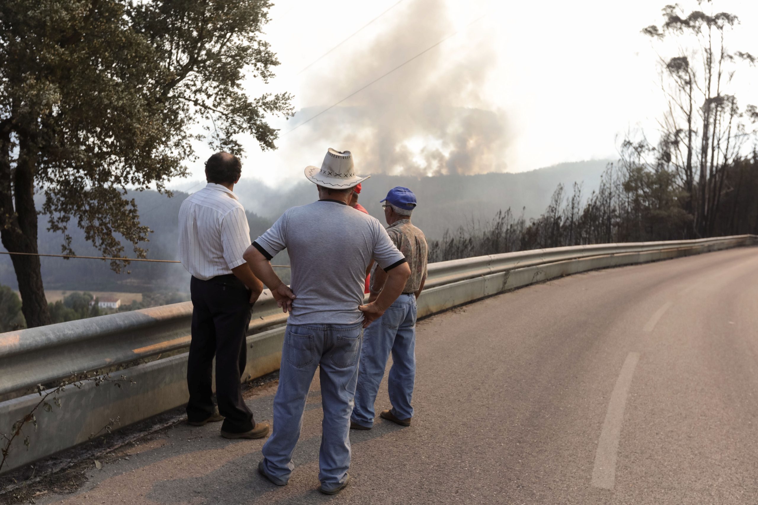 “Nós conhecemos o terreno, mas ninguém nos ia ouvir”. A brigada popular que salvou Candosa das chamas