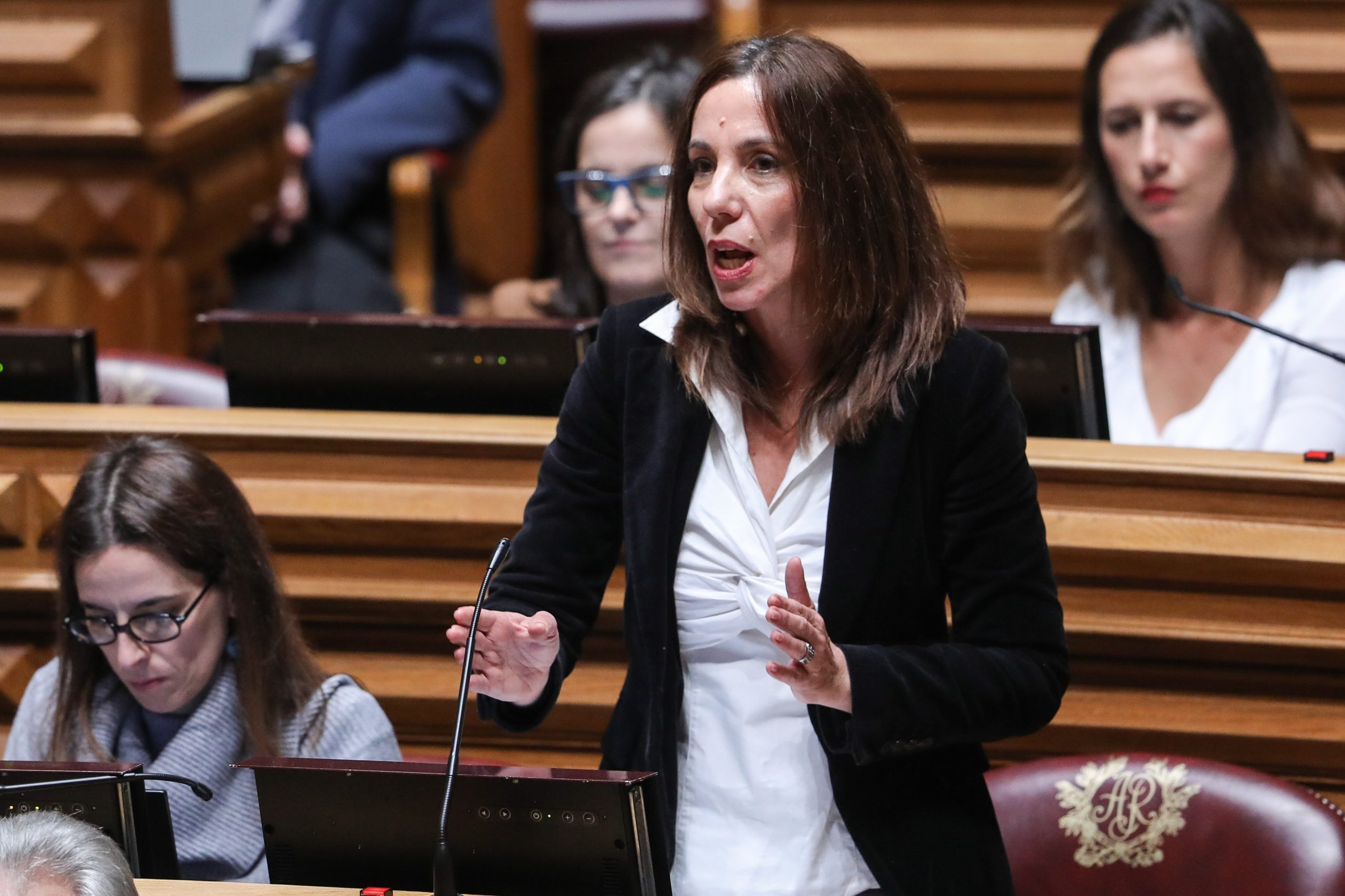 Montijo: PEV acusa Costa de tentar condicionar estudos de impacto ambiental