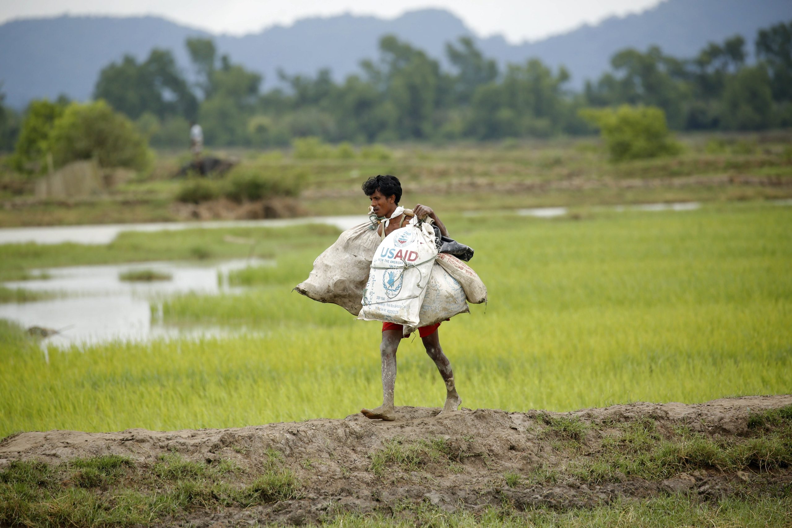 Partido Verde da Austrália pede ao Governo para acolher 20 mil refugiados rohingya