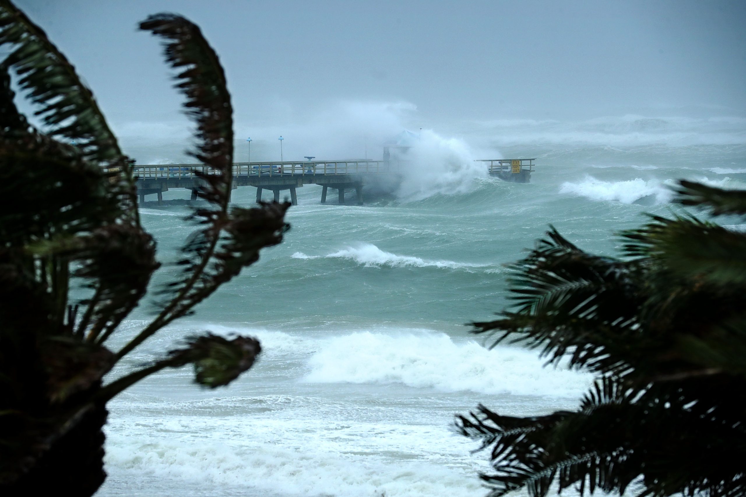 Furacão Irma: 70 portugueses chegam hoje à tarde a Figo Maduro