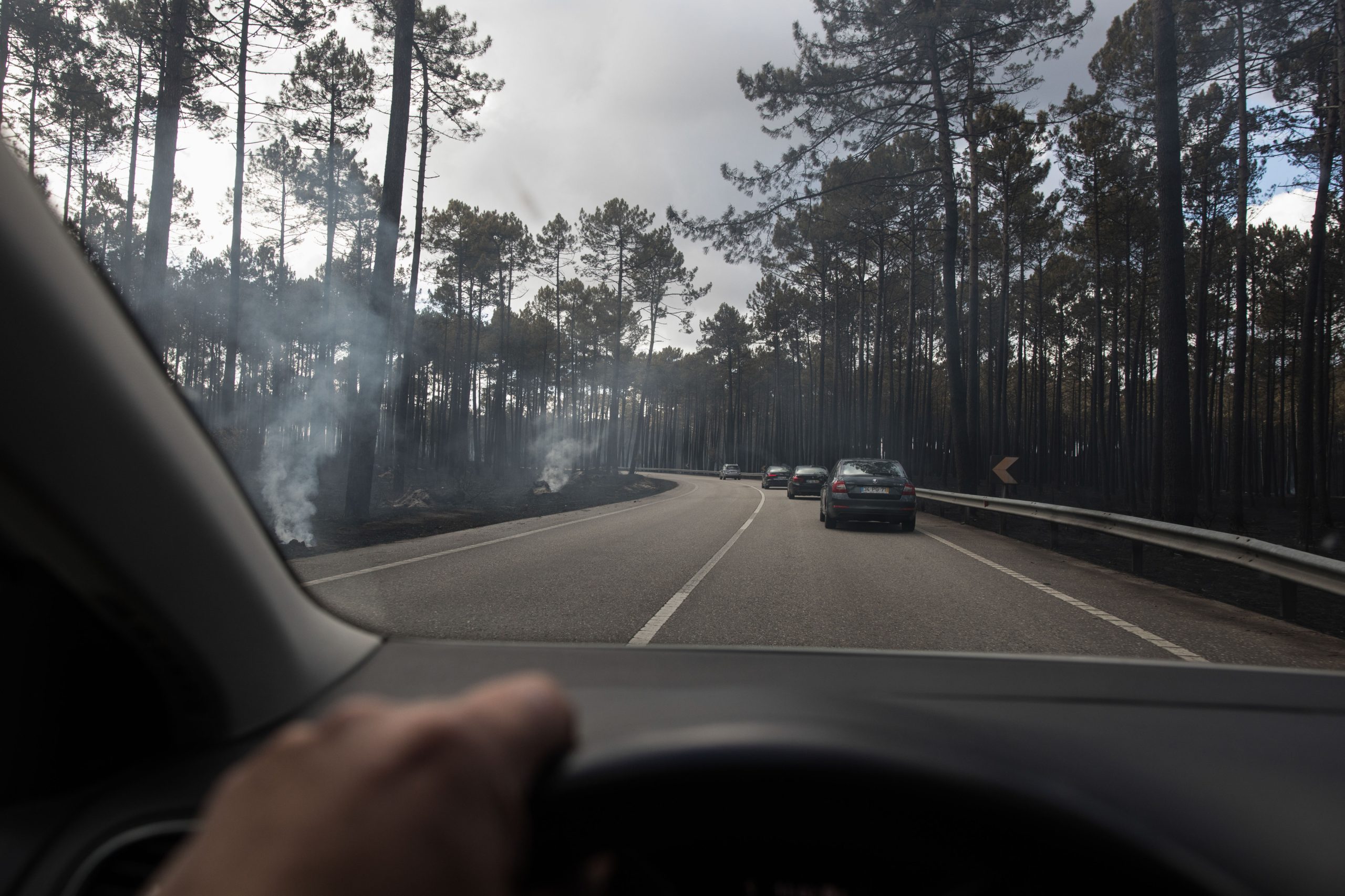 Número de vítimas mortais dos incêndios de outubro sobe para 49