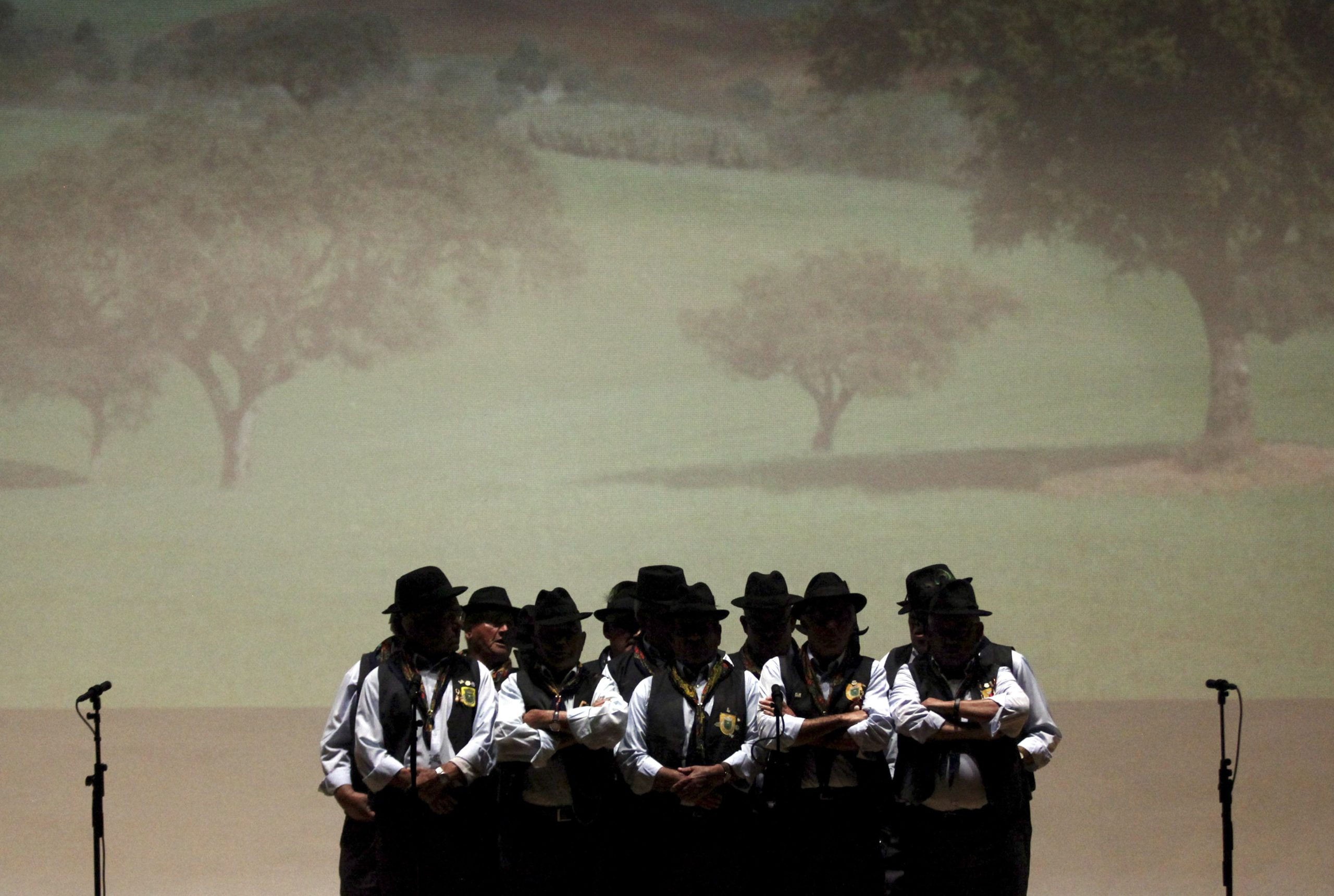Piquenique musical celebra música tradicional portuguesa em aldeia beirã