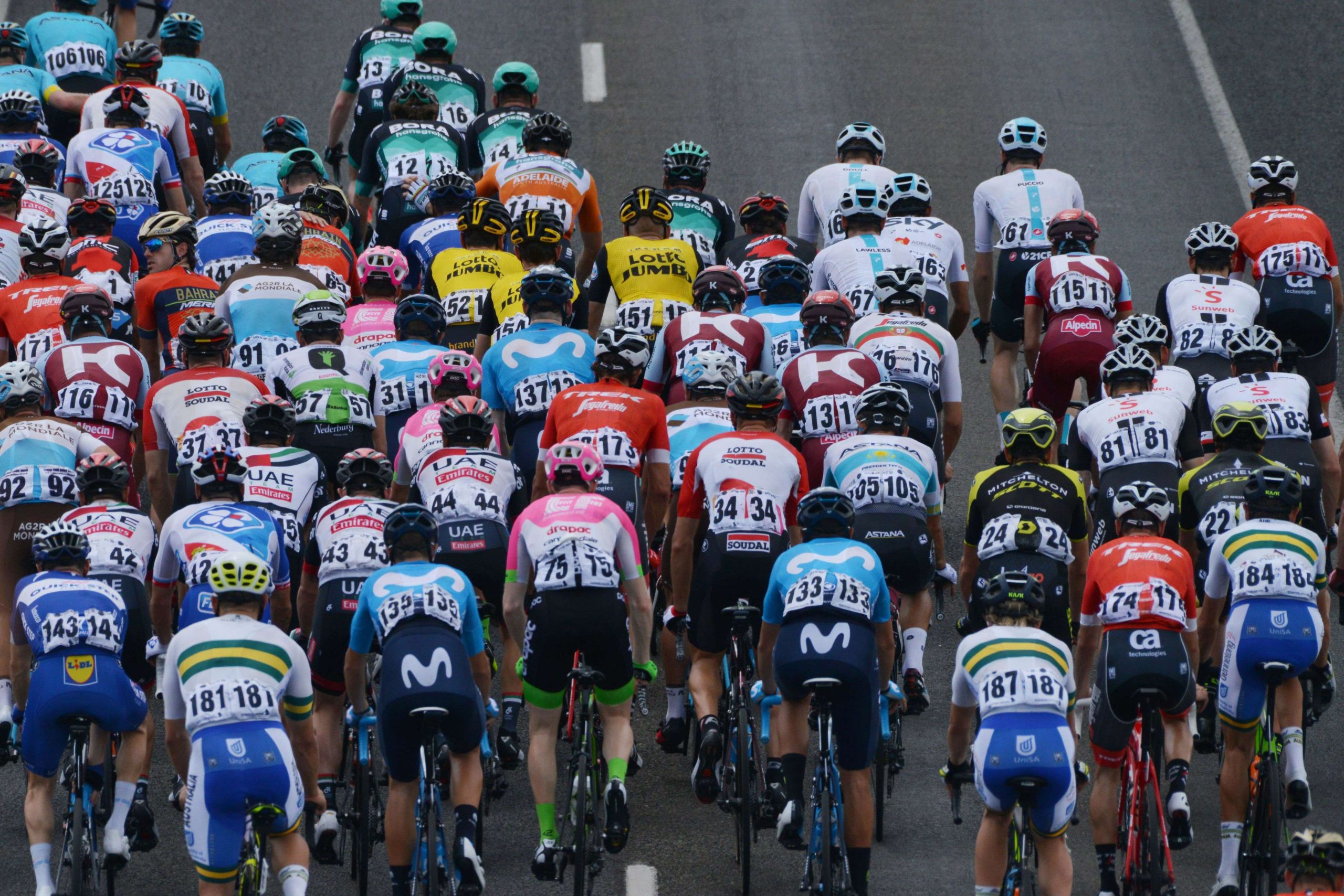 Volta ao Algarve e Volta a Andaluzia: A elite do ciclismo no sul da Península Ibérica