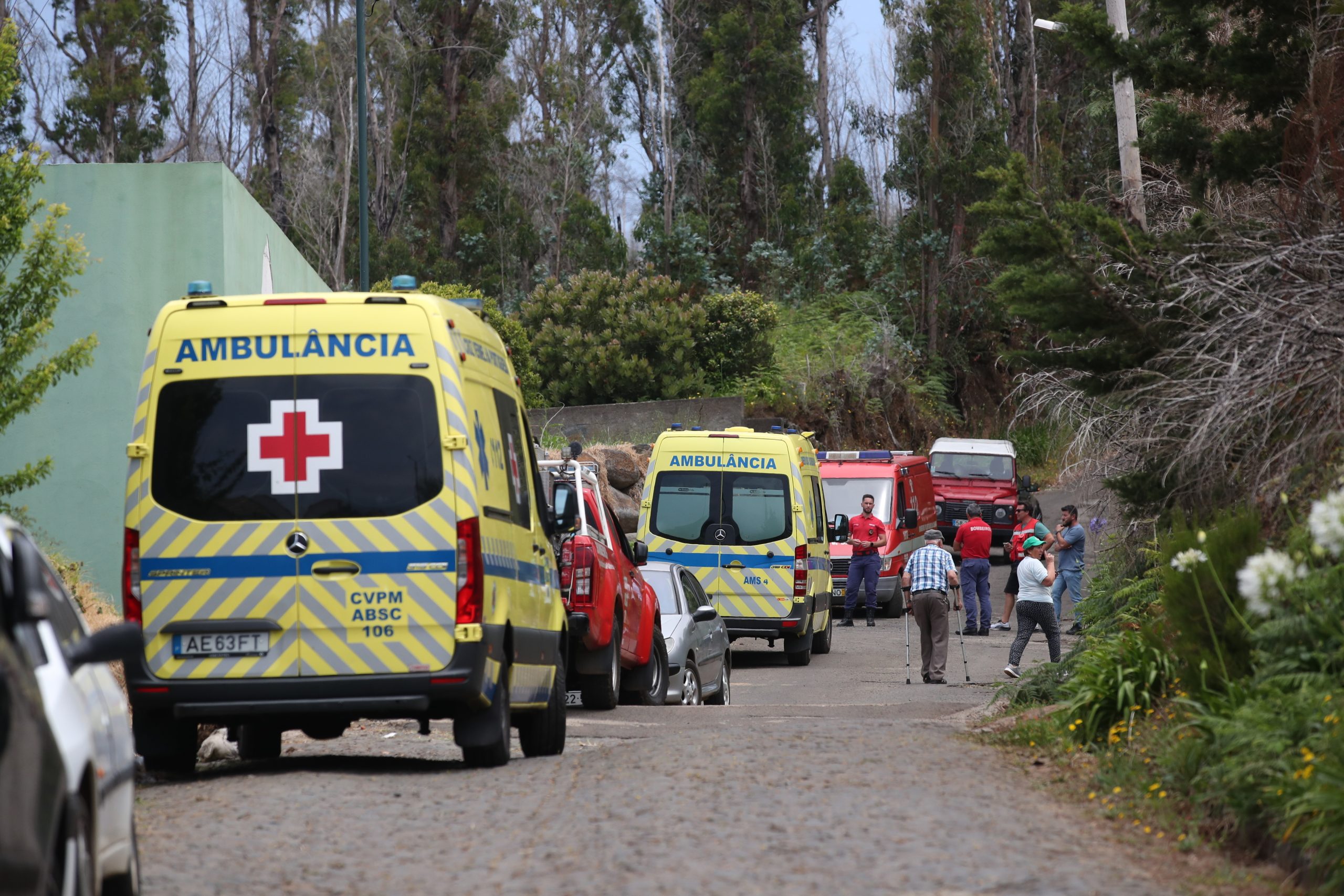 Sete feridos em despiste de viatura turística na Madeira já foram resgatados