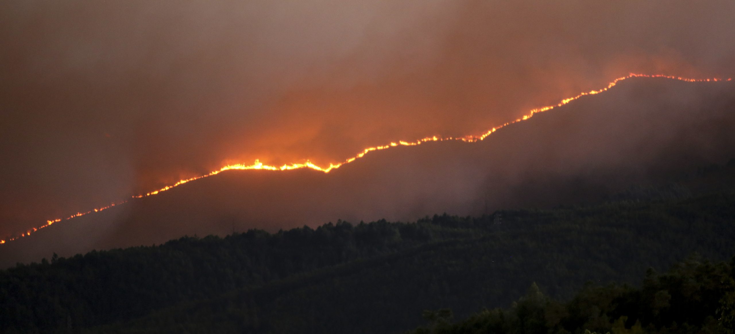 Incêndios. Portugal em situação de alerta até terça-feira