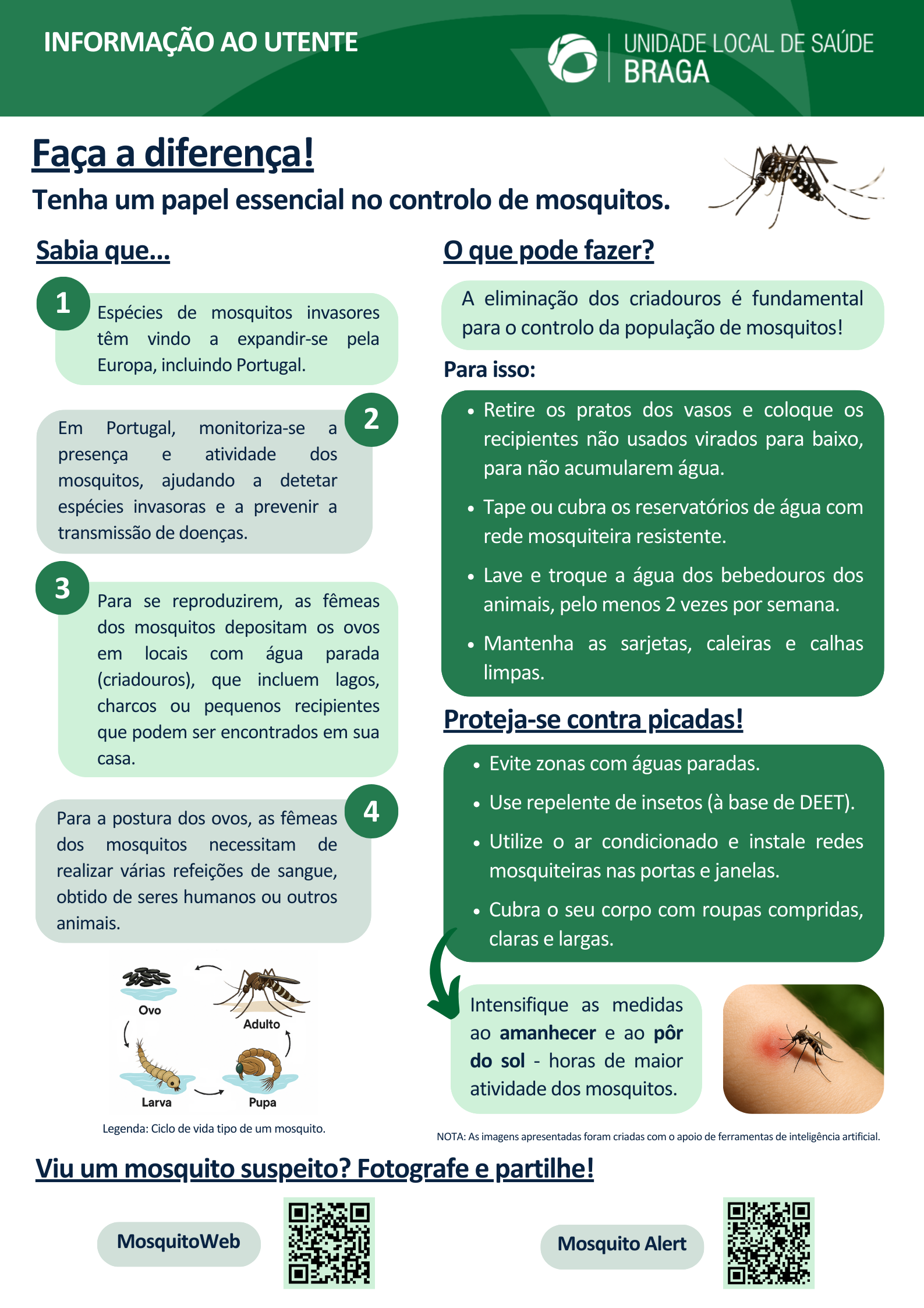 Mosquito-tigre detetado em Vila Verde: ULS Braga apela à colaboração da população