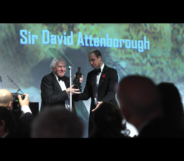 Depois de mamíferos, répteis, insetos e plantas, David Attenborough dá nome a uma rã