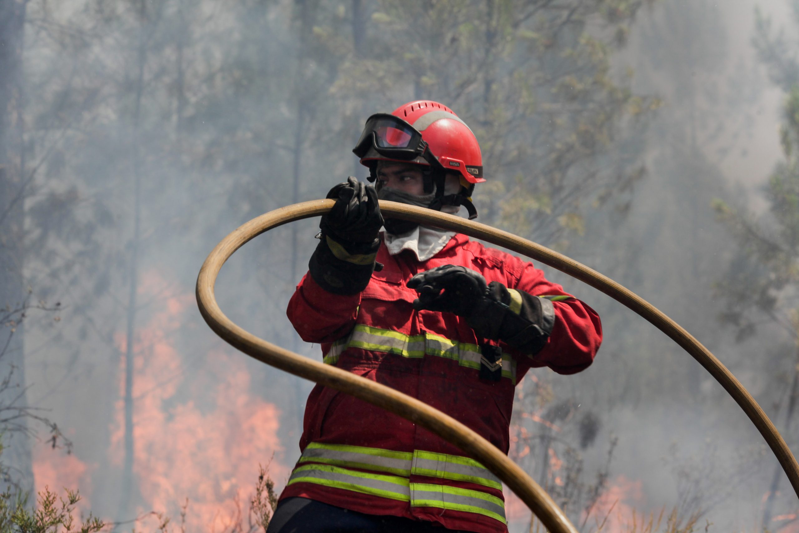 Incêndios: Autarca de Monchique revela que fogo não ameaçou pessoas nem causou danos