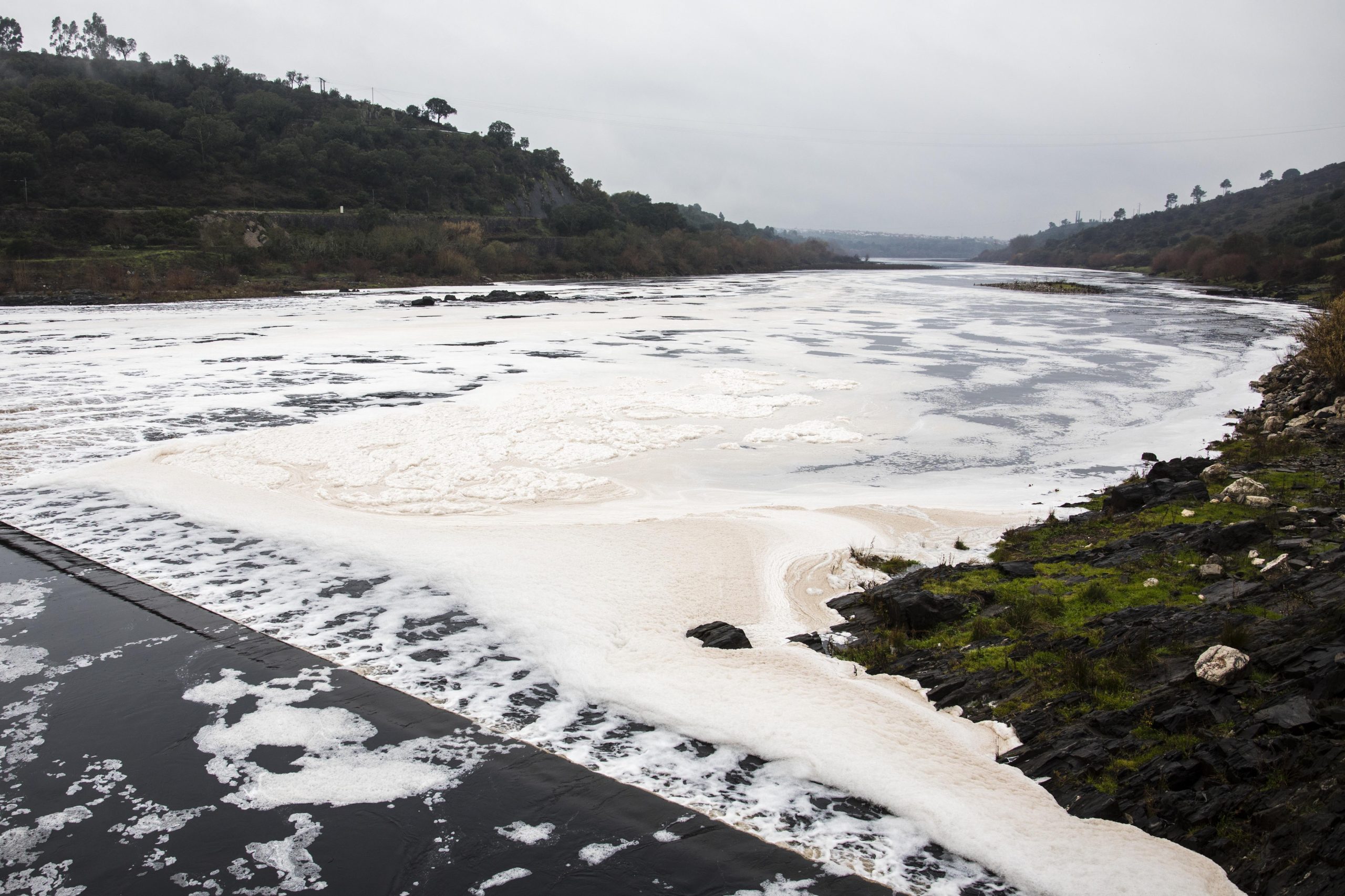 Atentado ambiental no Tejo revolta pescadores, autarcas e ambientalistas em Abrantes