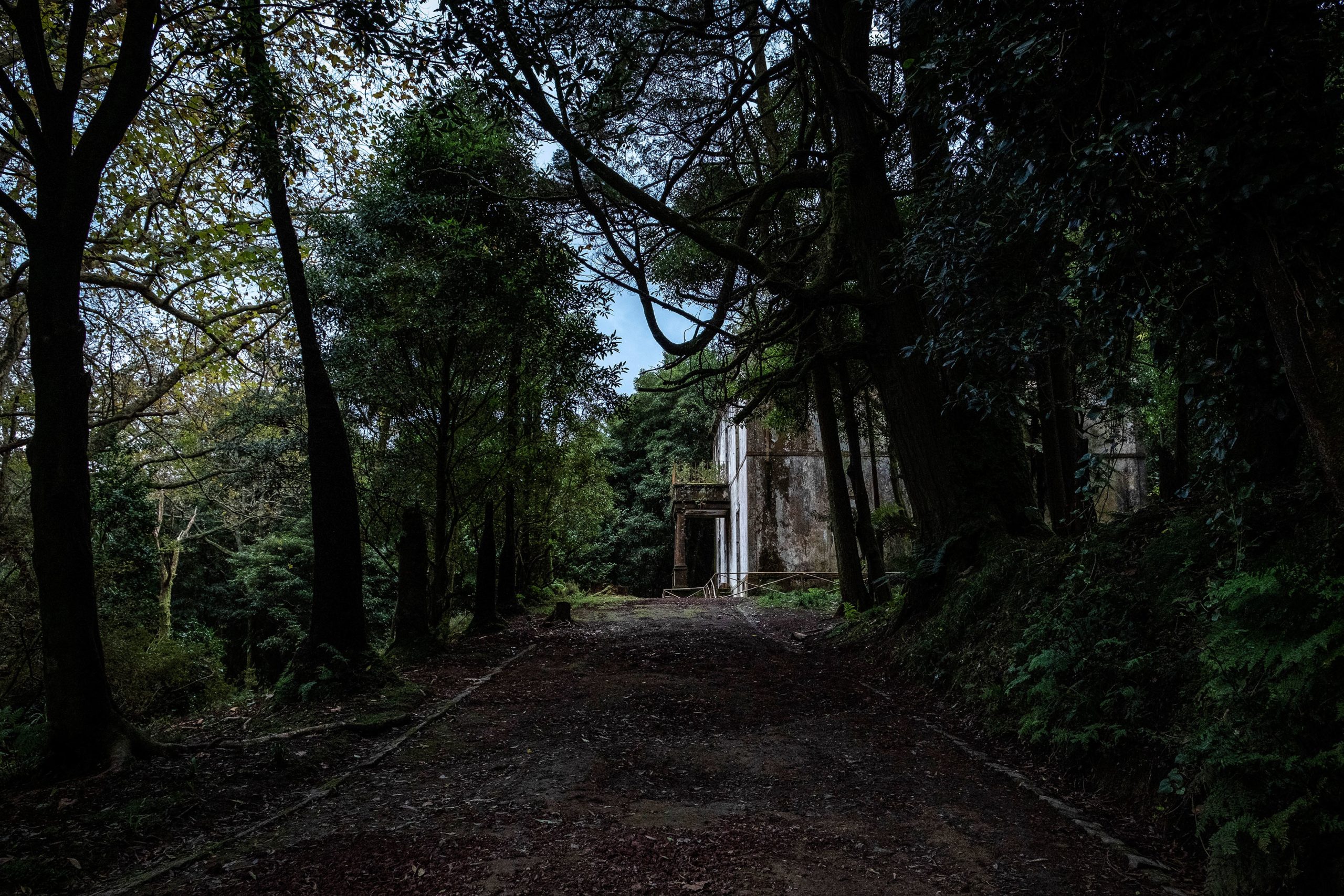 OE2020: PEV propôs e há “abertura” para reforço de pessoal na conservação da natureza