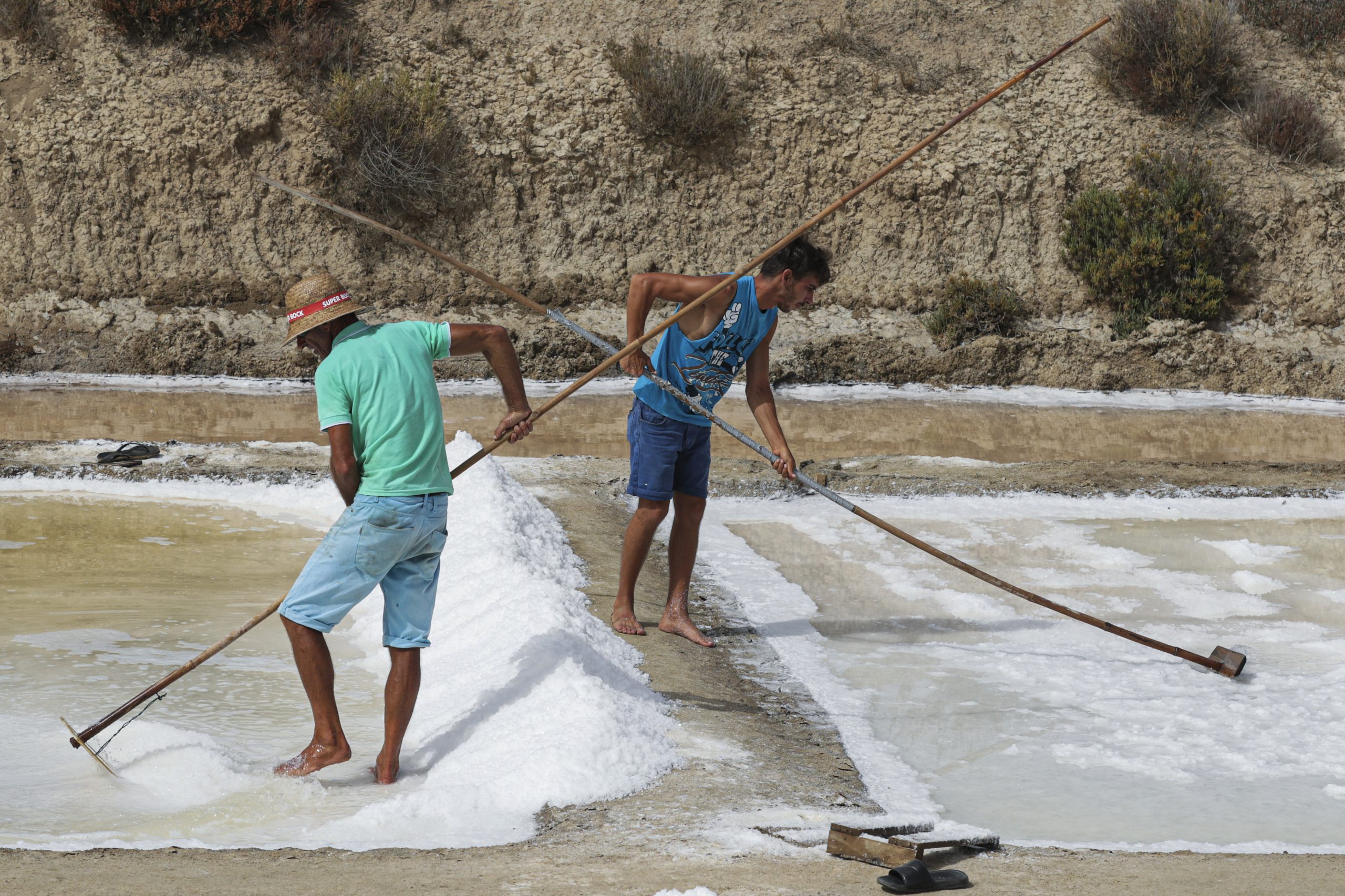 Salinas renascem em Castro Marim com a tradição a manter-se através de gerações