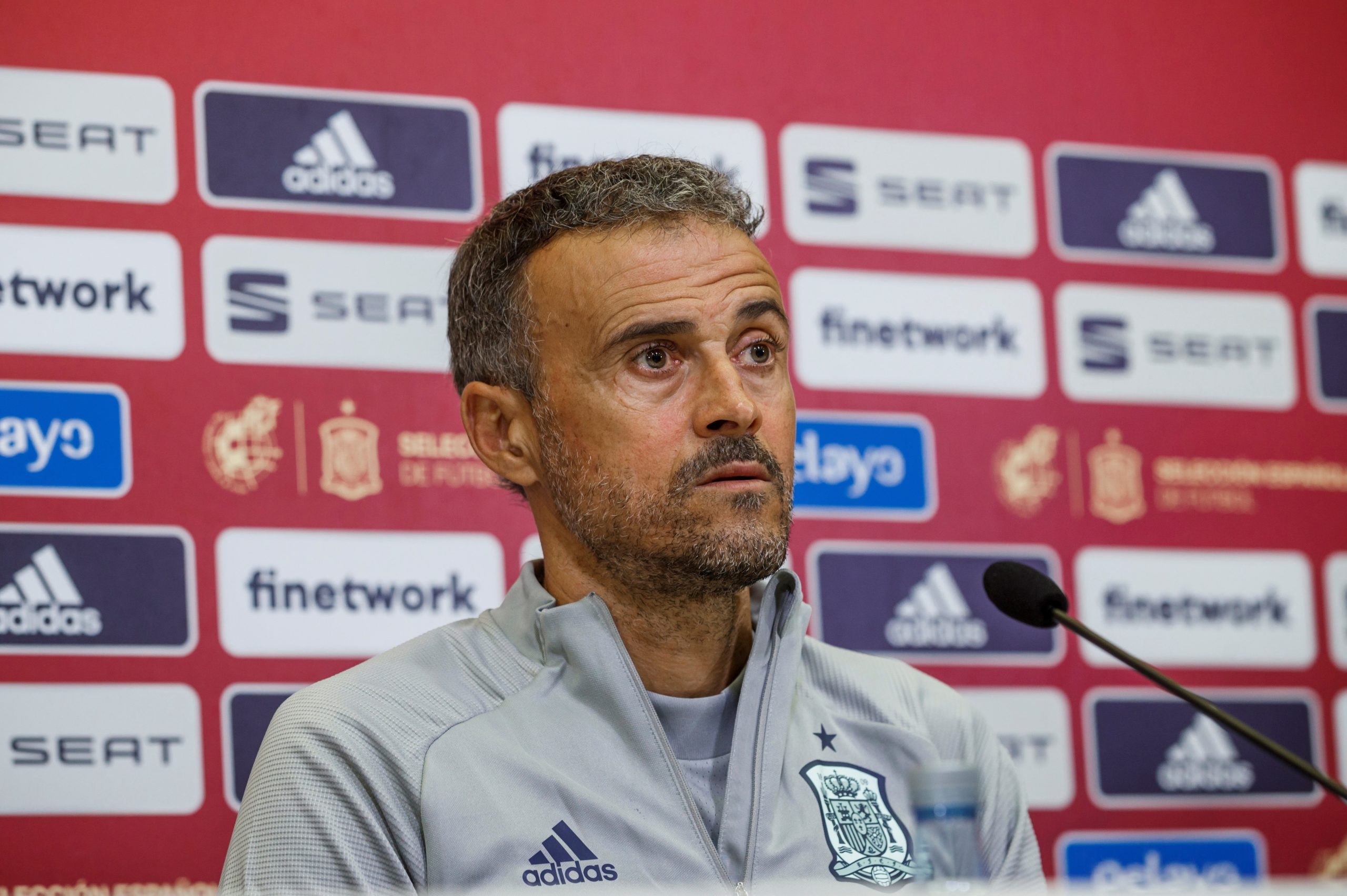 Selecionador Luis Enrique quer Espanha “protagonista” frente a Portugal