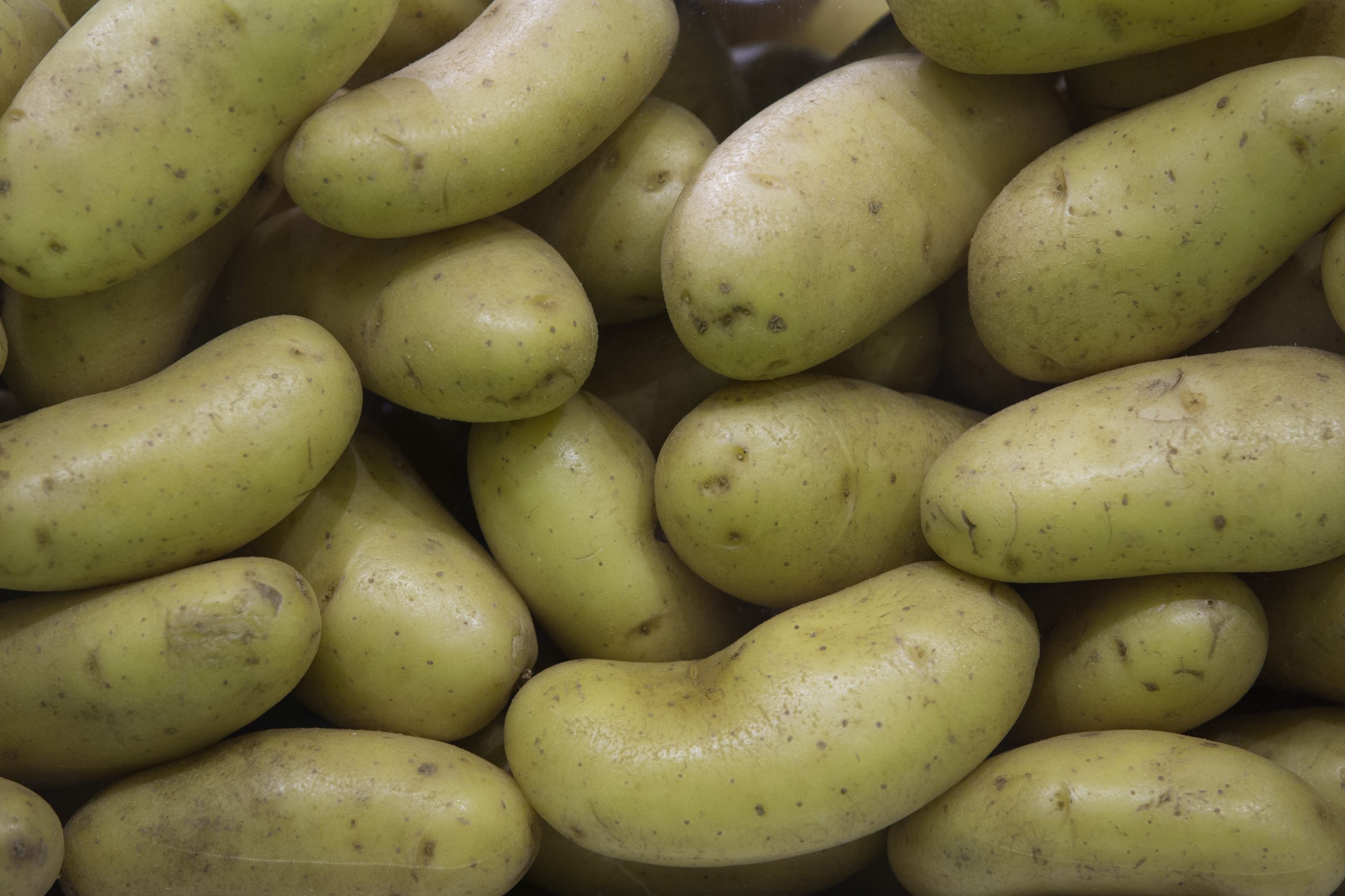 Missão espacial chinesa vai tentar cultivar batatas na Lua