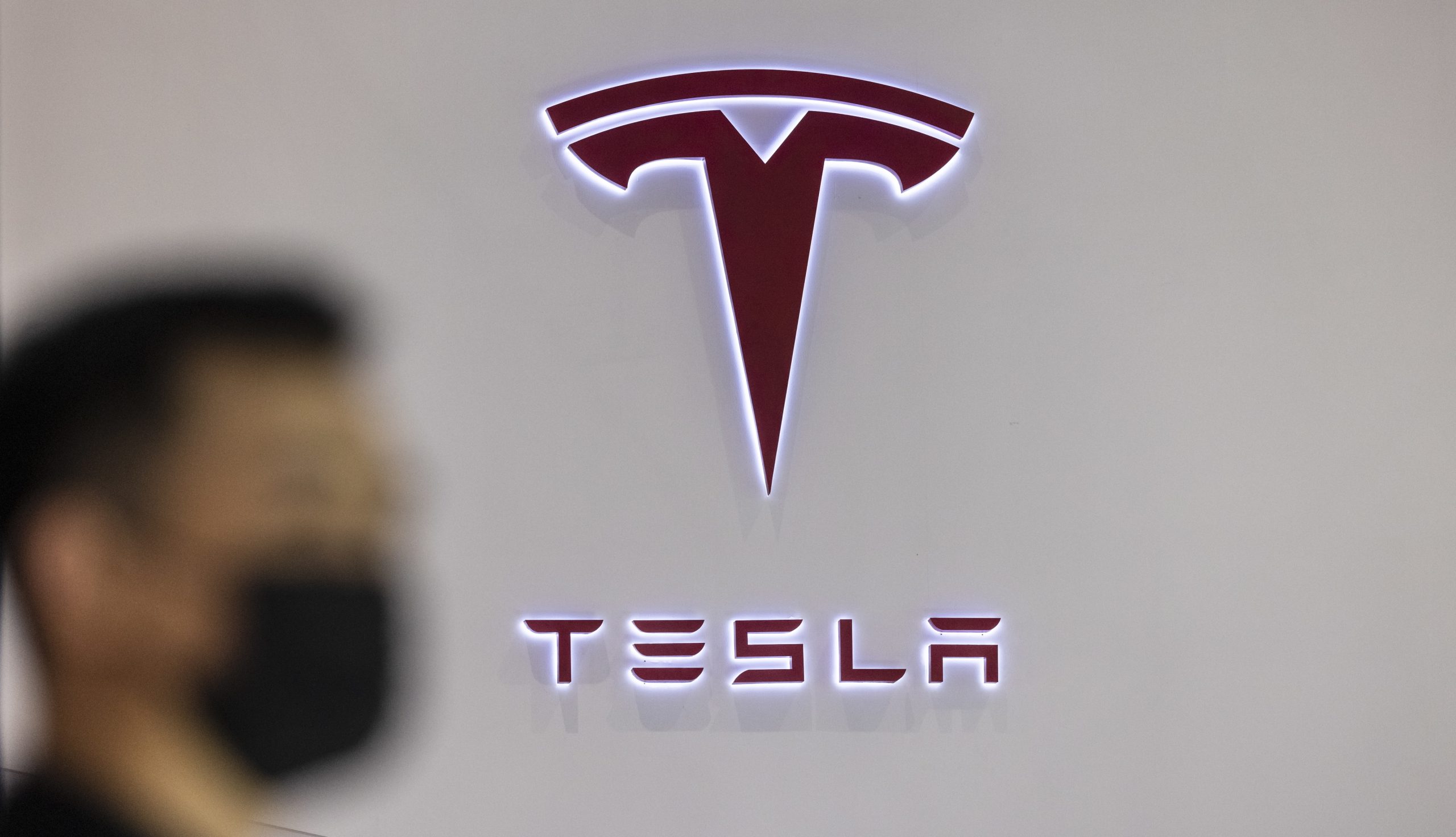 Como a Tesla está a destruir uma floresta nas Filipinas
