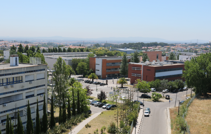 Universidades portuguesas caem no ranking mundial. “Correm o risco de ficar ainda mais para trás” e a culpa pode ser do governo