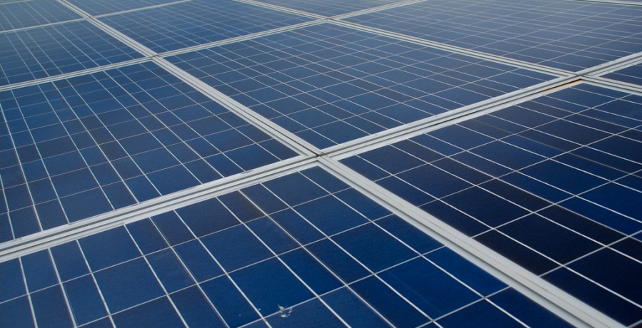 Greenvolt investe sete milhões de euros na instalação de 18 mil painéis solares em Cantanhede