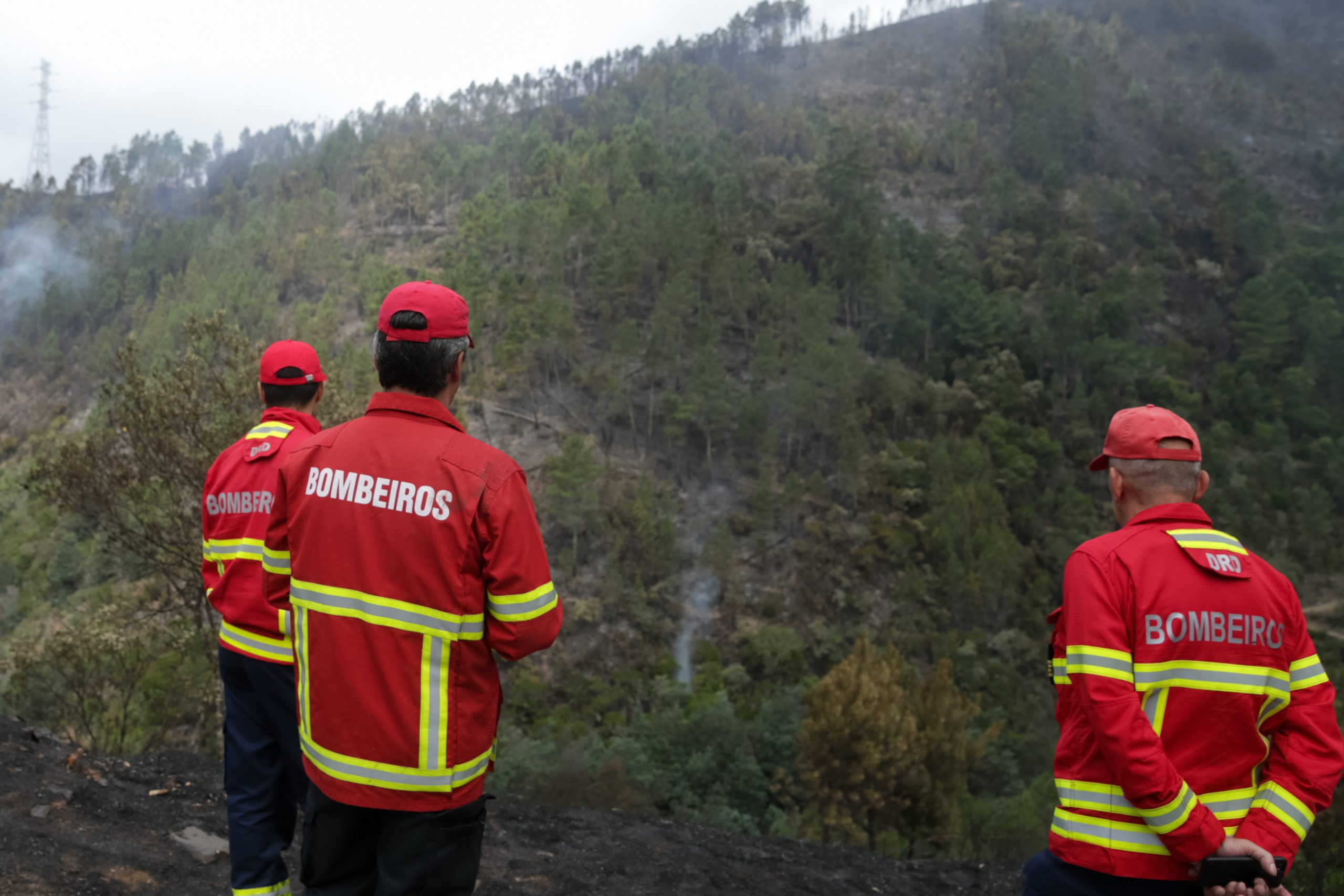 Fogo em zona industrial de Valongo “perto de casas e de fábricas”