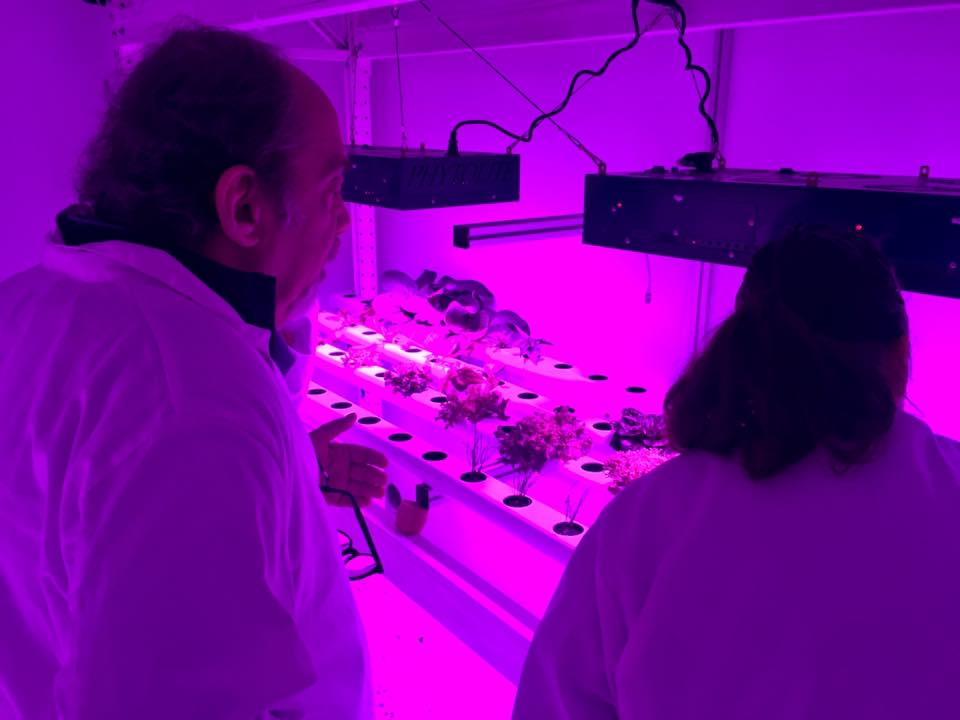 CoolFarm: Esta startup criou um sistema fechado e automático de cultivo de plantas