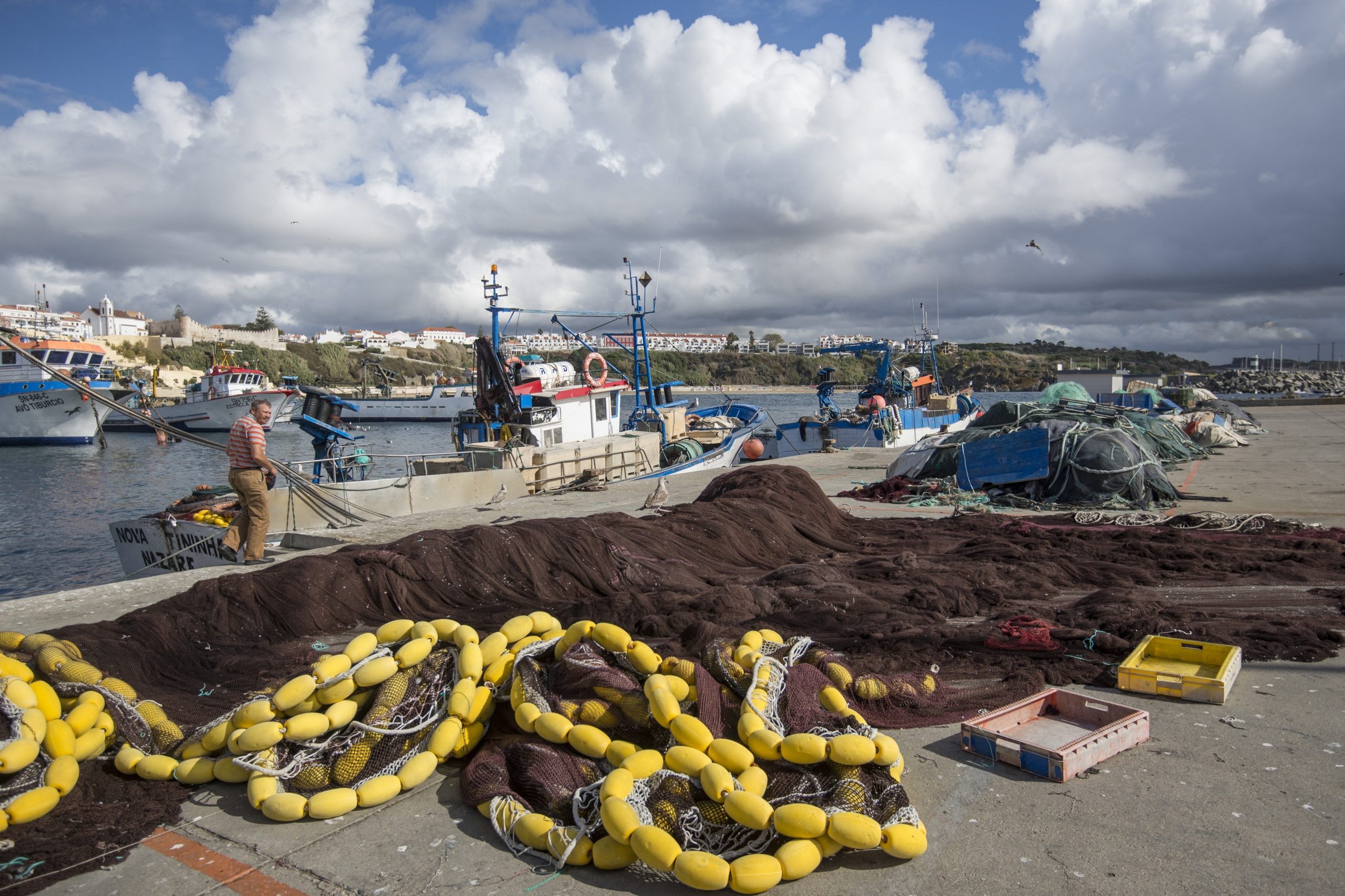 Governo procede à alteração do regulamento da pesca por arrasto definindo espécies