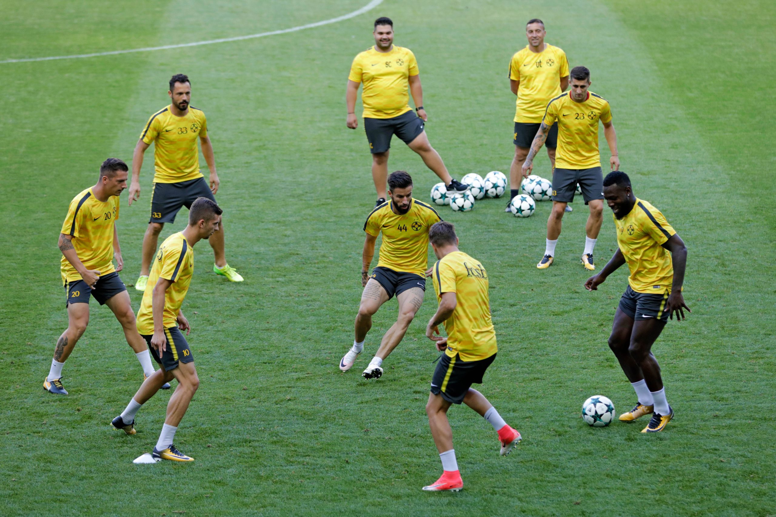 Sporting defronta Steaua Bucareste com a ‘mira’ na Liga dos Campeões