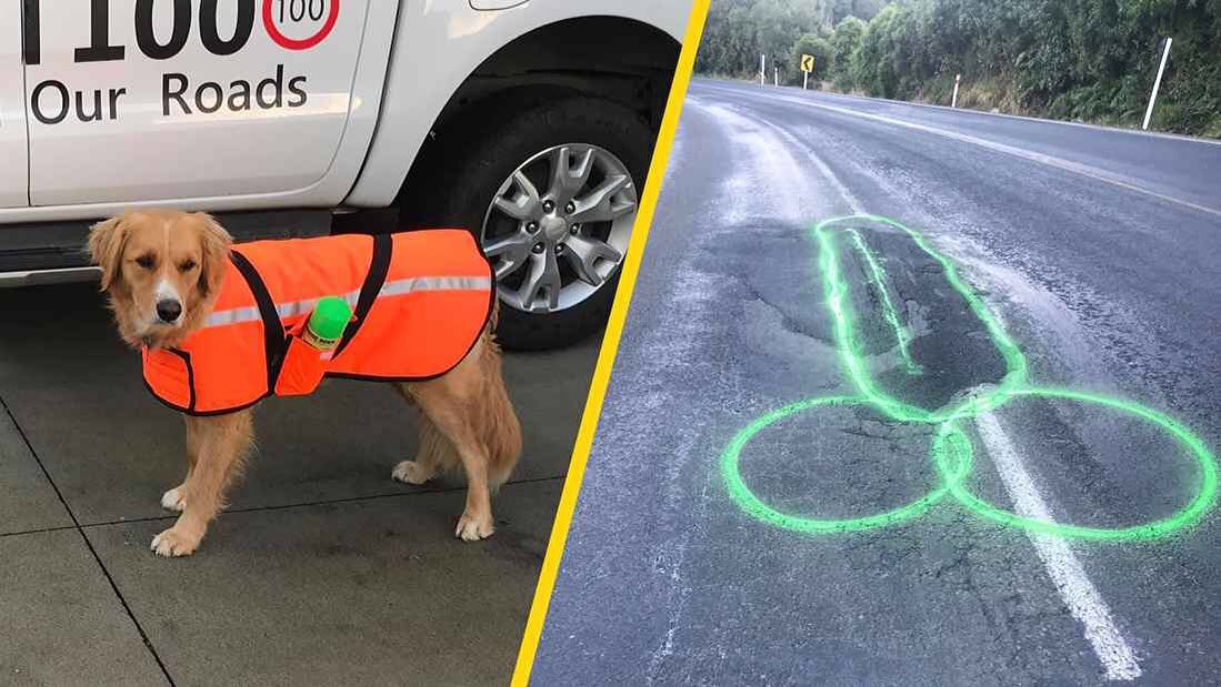 Ativista da estrada. Neozelandês ameaçado com processo por desenhar pénis em buracos