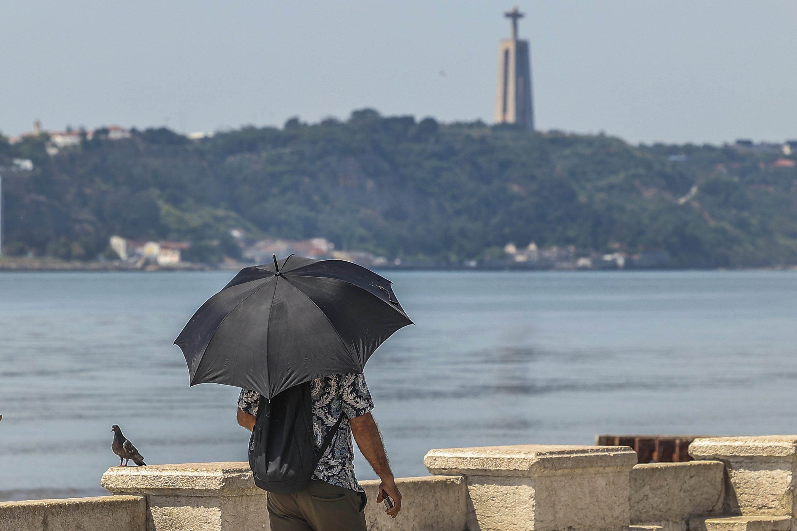 Temperaturas vão subir a partir de sábado. IPMA diz que poderá haver nova onda de calor