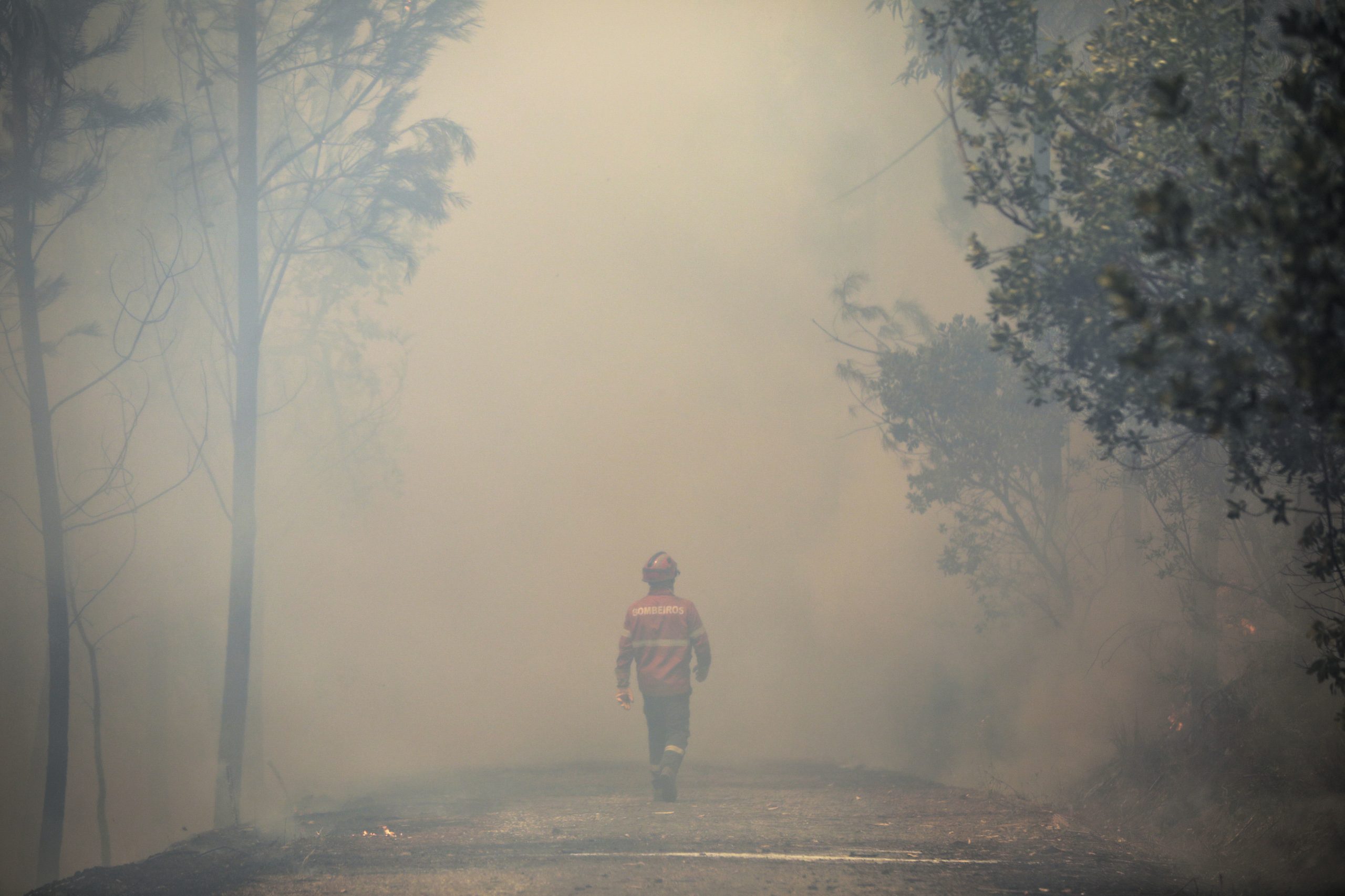 Incêndios: Alijó, Fundão Sabugal e Sernancelhe em resolução, fogo em Torre de Moncorvo dominado