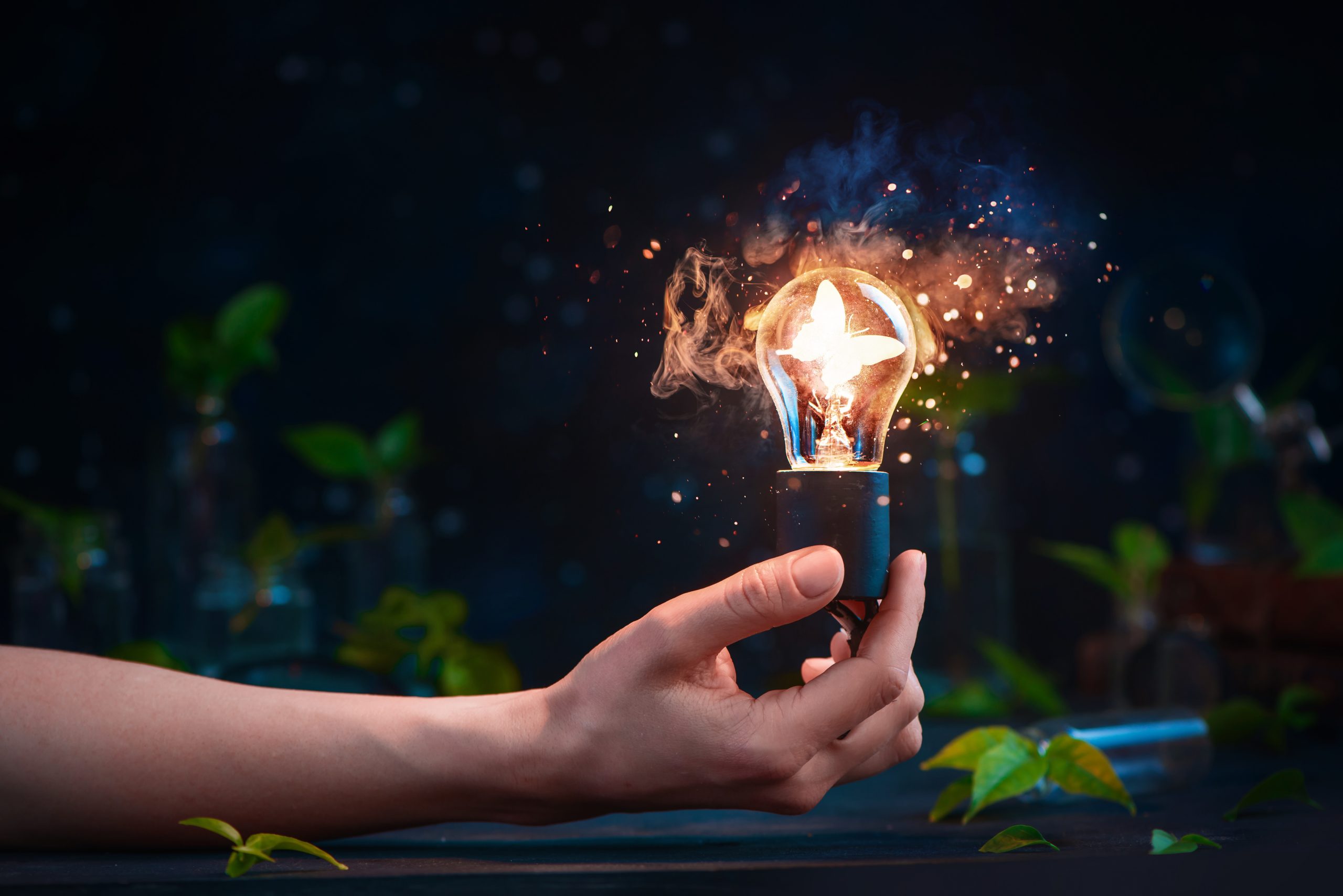 Universidade de Coimbra garante fornecimento de energia por 72 horas, mesmo em situações de “apagão”