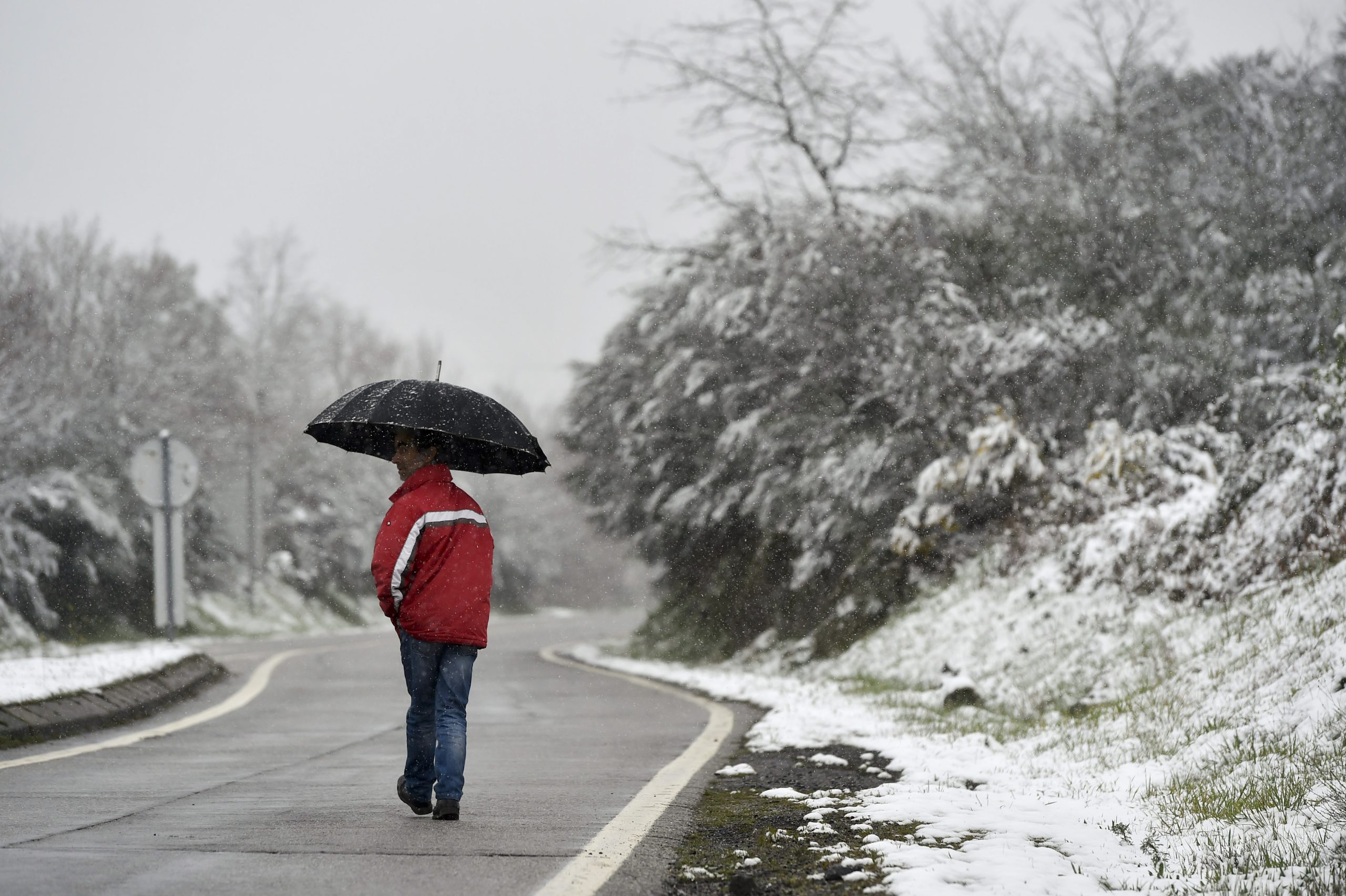 Mau Tempo: Neve provoca constrangimentos no IP4 e A24 na zona de Vila Real