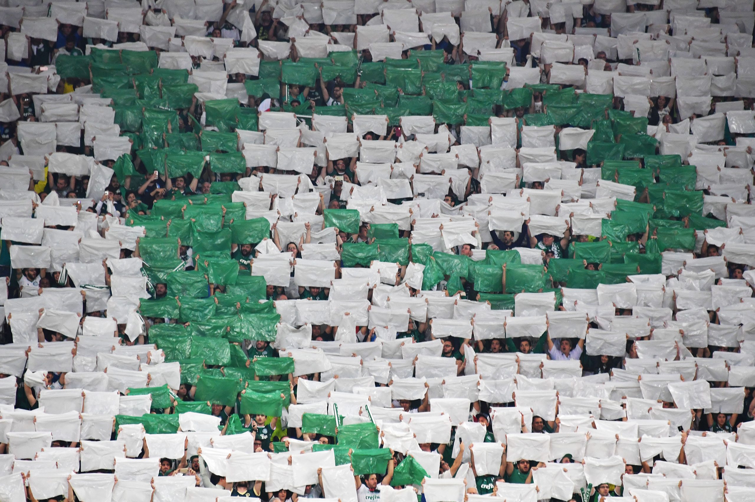 Adepto do Palmeiras morre baleado no exterior do estádio do clube, em São Paulo