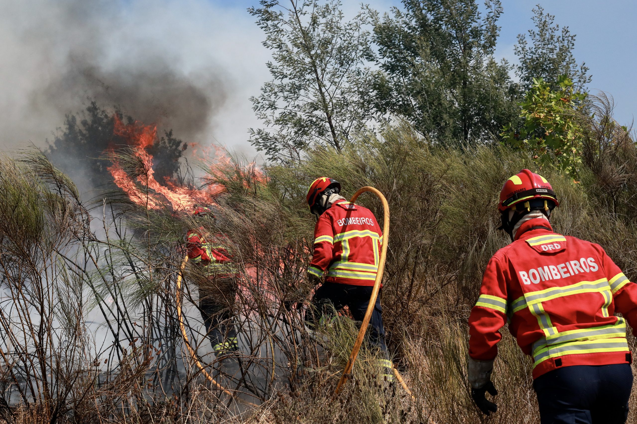 Incêndio em Aljustrel leva mais de 120 operacionais ao terreno. Habitações fora de perigo