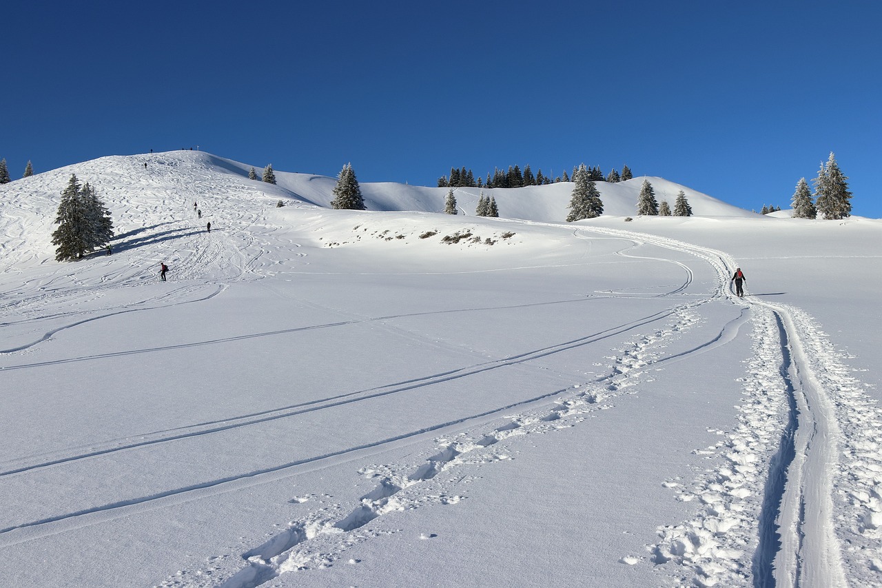 O que fizeste no último verão? Treinei para os Desportos de Inverno
