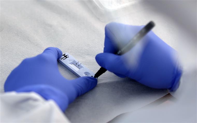 Covid-19: Governo aprova quase 20 milhões de euros para testes rápidos nas escolas