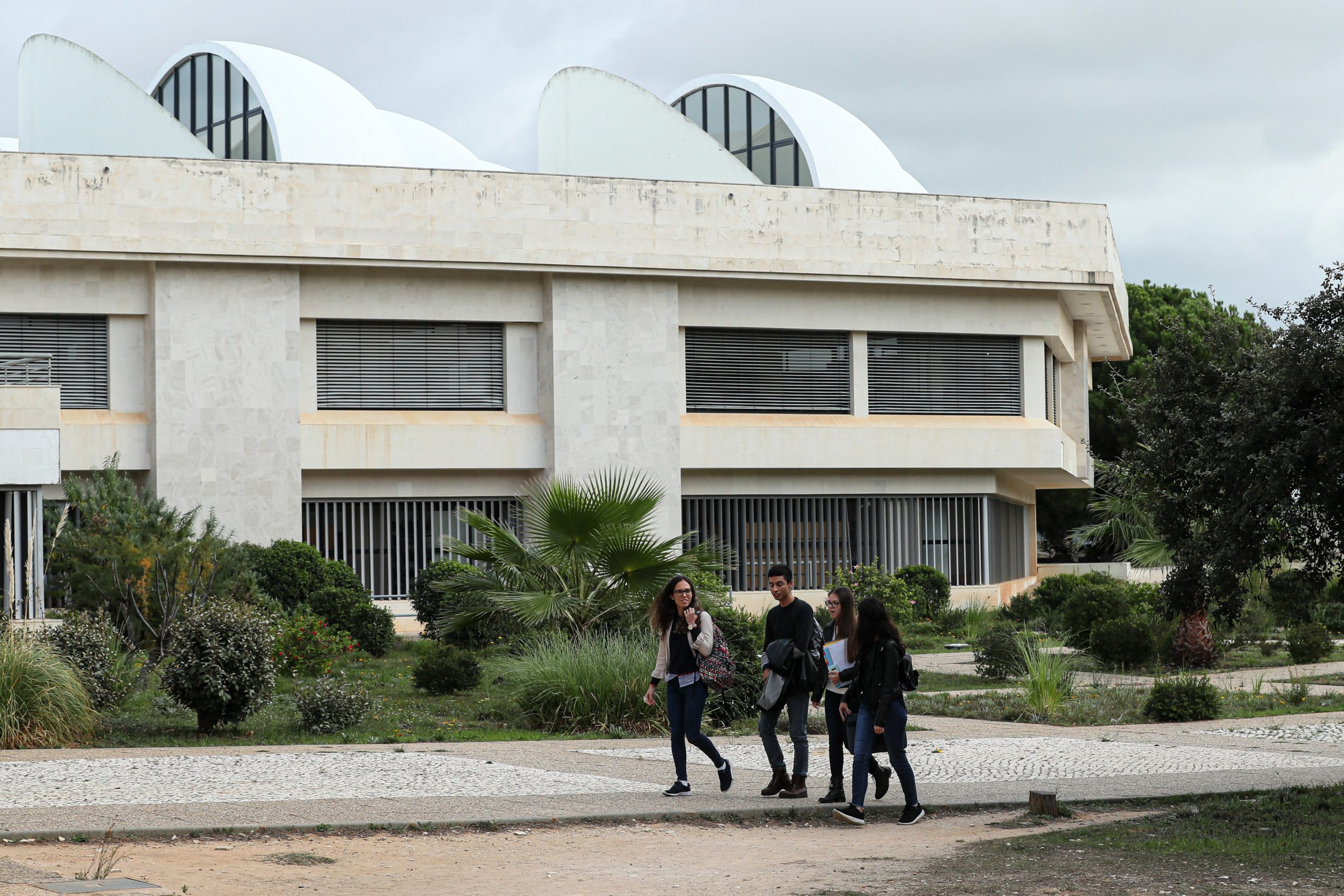Ensino Superior. Perto de 75 mil estudantes estão a receber bolsas de ação social. São mais 4% que no ano passado