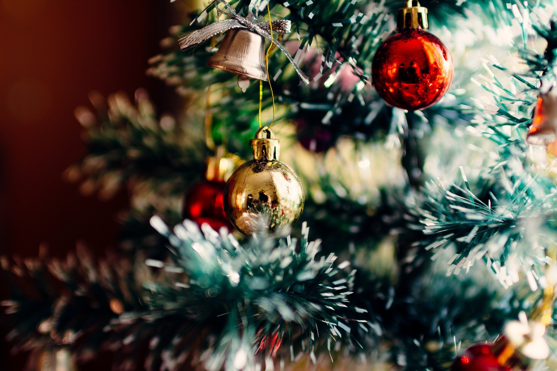 Desde os pinheiros artificiais à recusa de sacos nas lojas. Conheça as principais preocupações ambientais dos portugueses no Natal