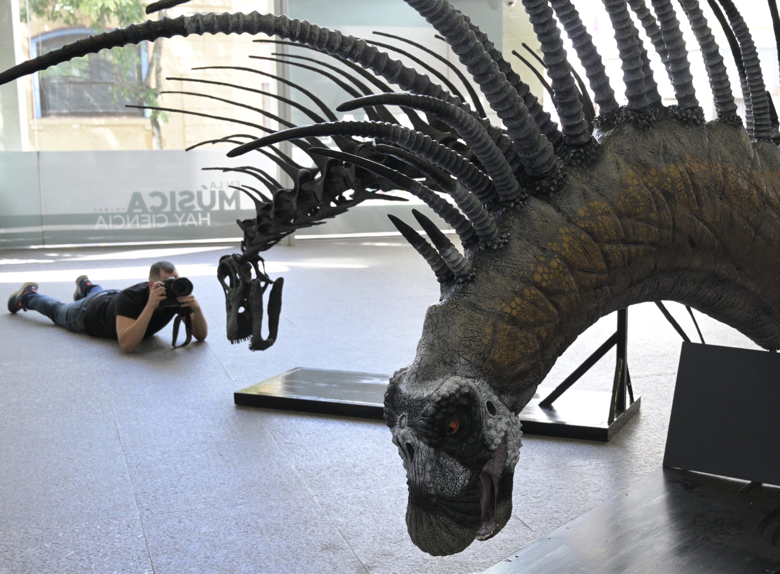 Descoberta nova espécie de dinossauro que tinha ‘espinhos ósseos’