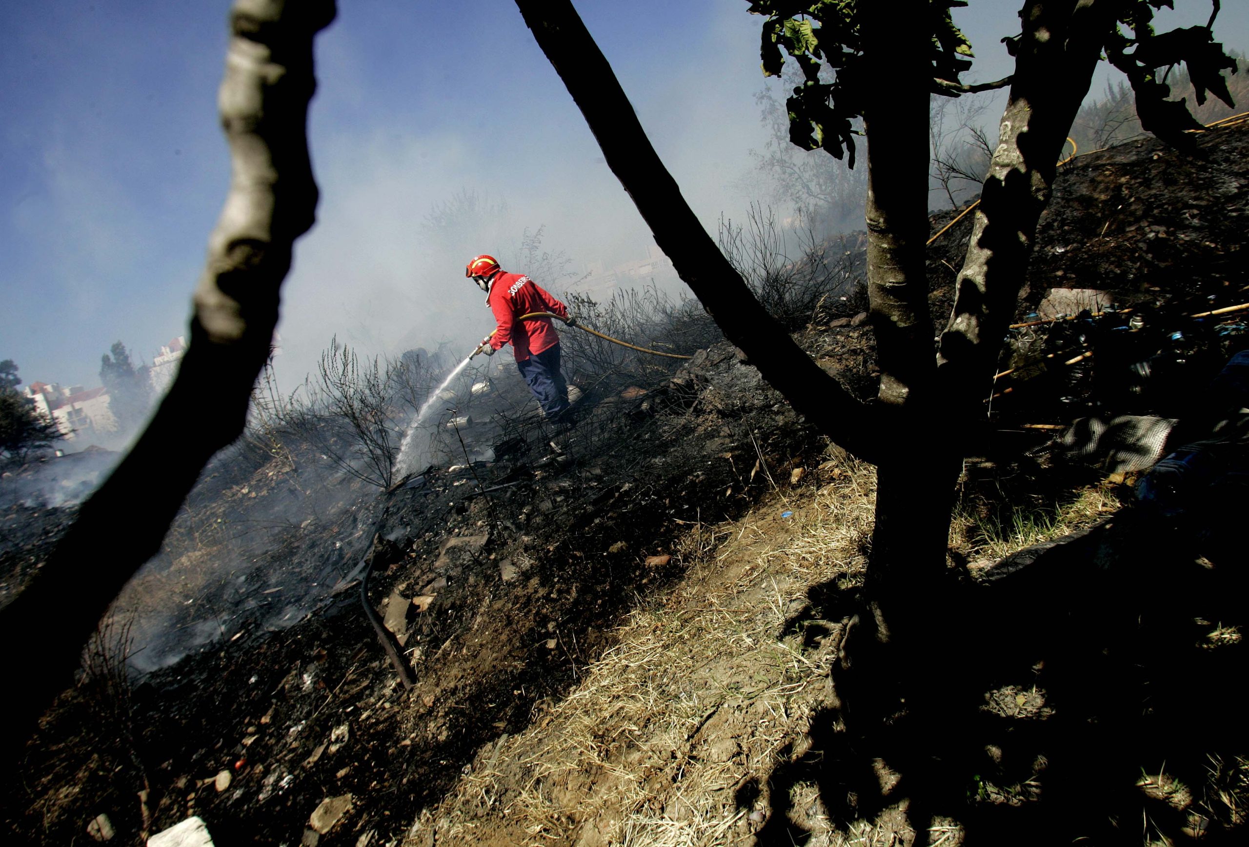 Incêndios: Seis concelhos de Faro, Santarém e Castelo Branco em perigo máximo